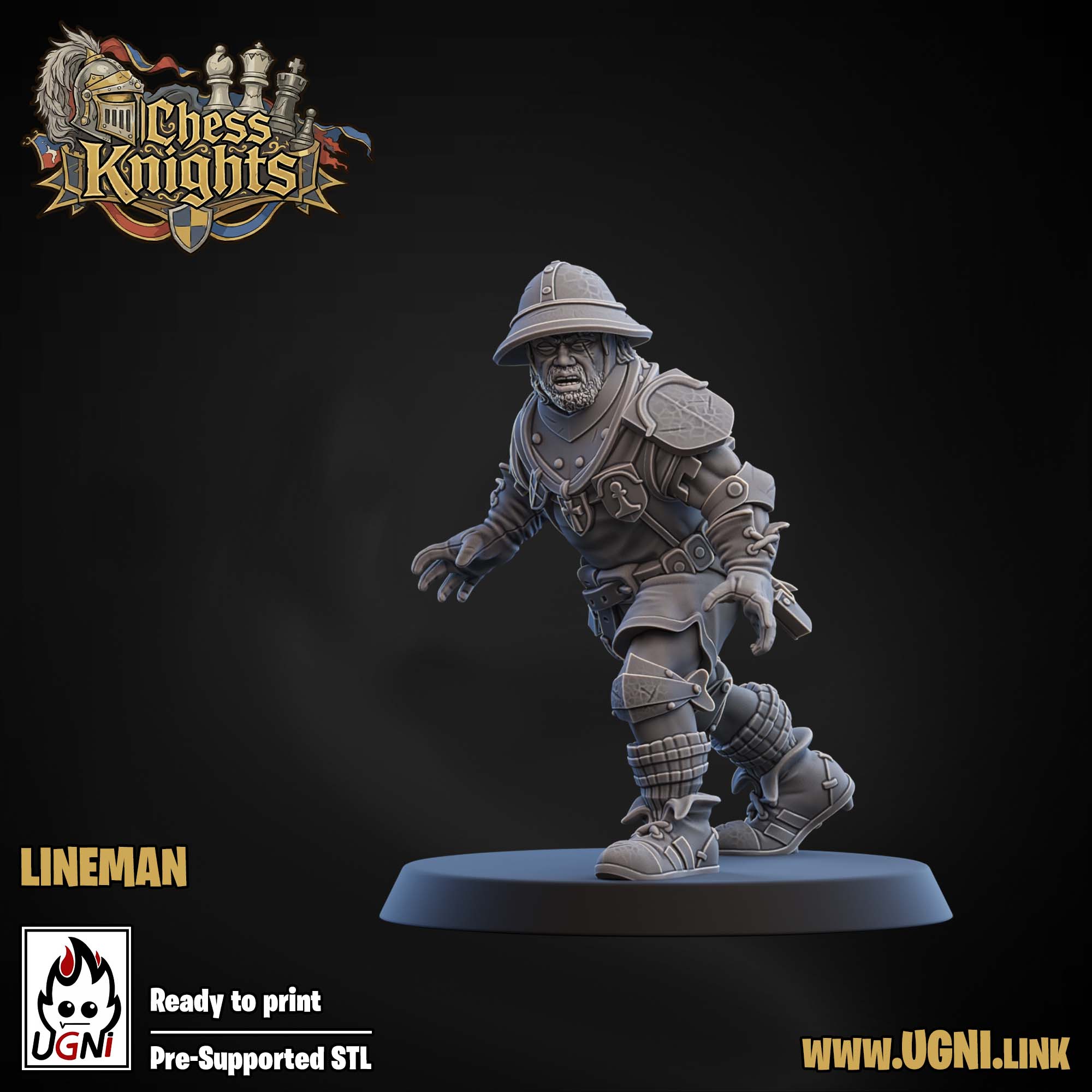 Chess Knights (Chivalric Knights) Part.1 Bloodbowl Team