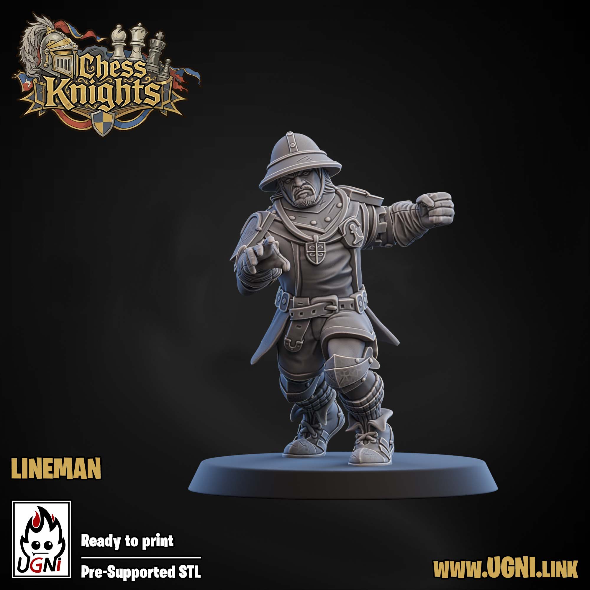 Chess Knights (Chivalric Knights) Part.1 Bloodbowl Team