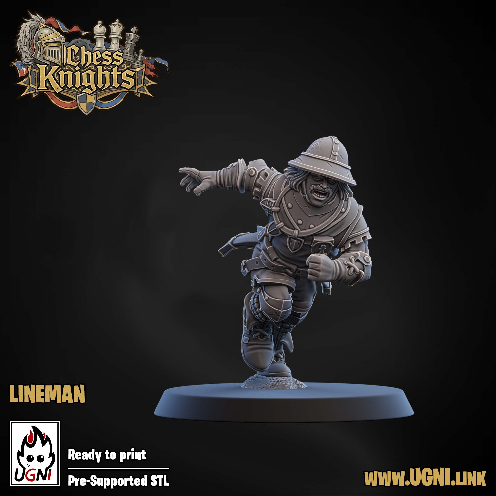 Chess Knights (Chivalric Knights) Part.1 Bloodbowl Team