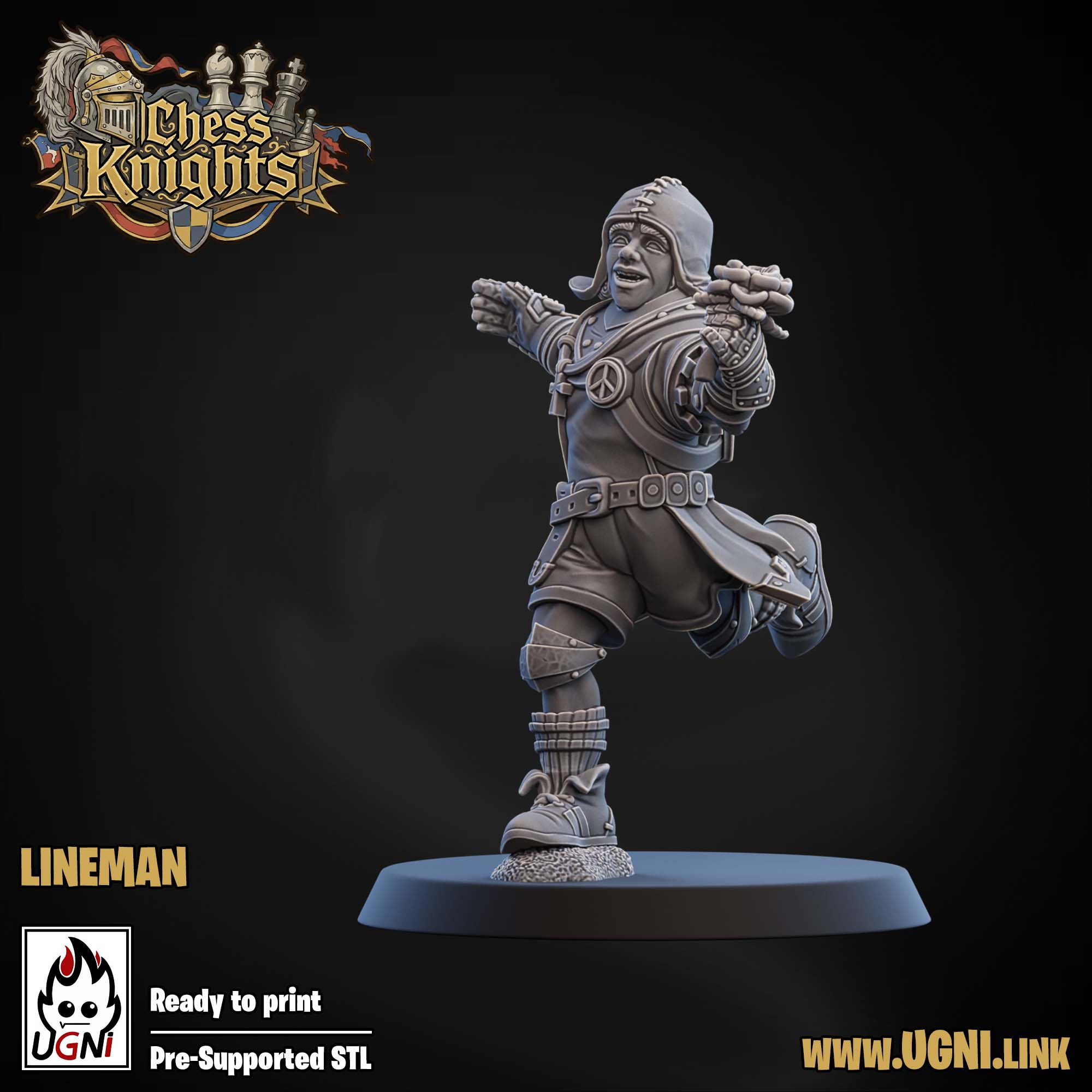 Chess Knights (Chivalric Knights) Part.1 Bloodbowl Team