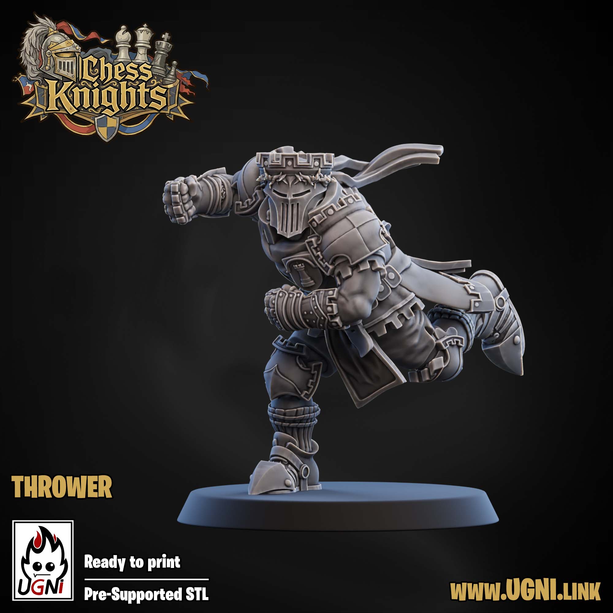 Chess Knights (Chivalric Knights) Part.1 Bloodbowl Team