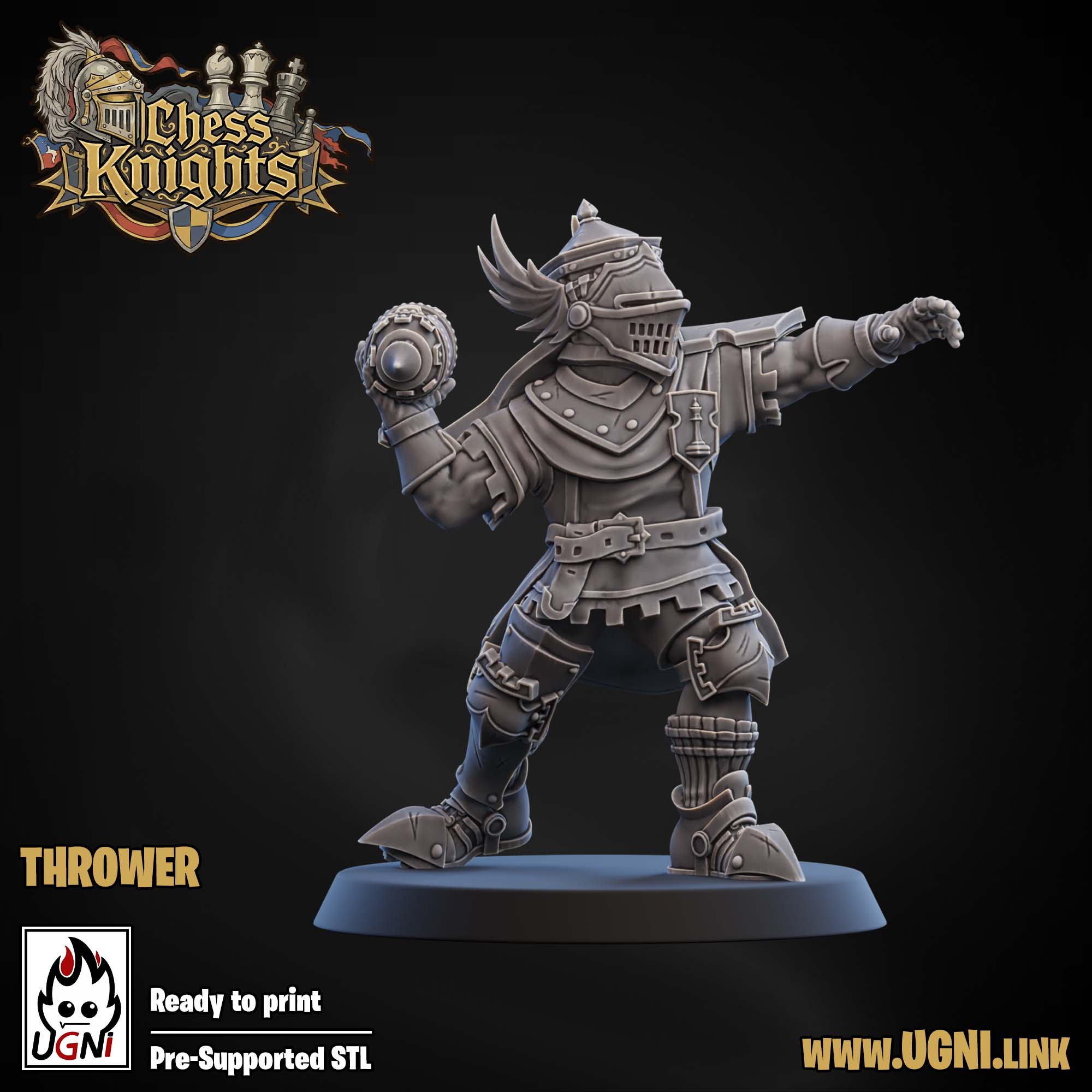 Chess Knights (Chivalric Knights) Part.1 Bloodbowl Team