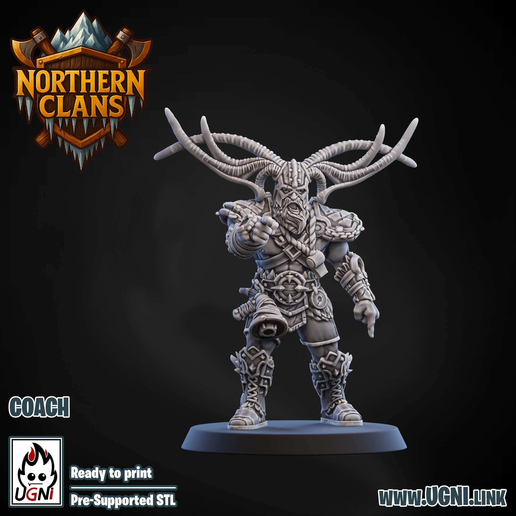 Northern Clans Bloodbowl Team - part 2