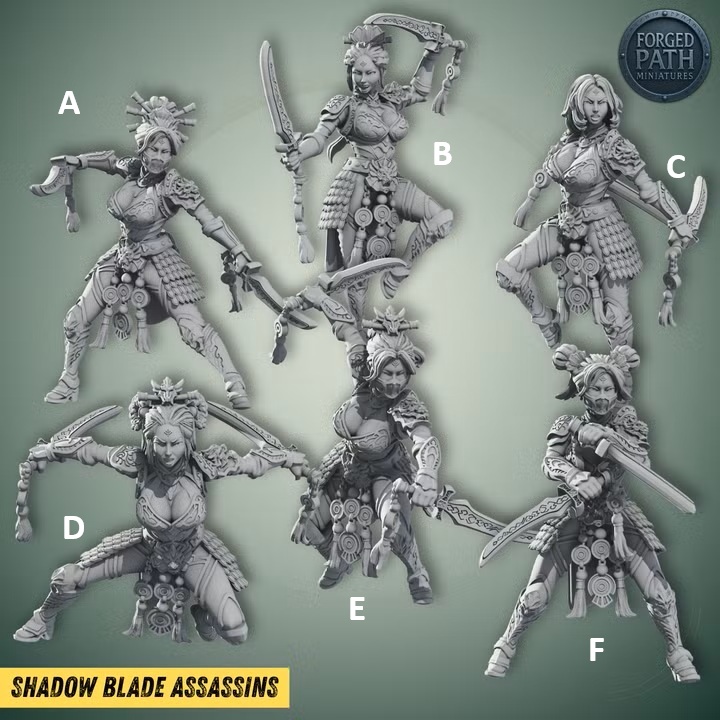 Shadow Blade Assassins 28mm to 32mm