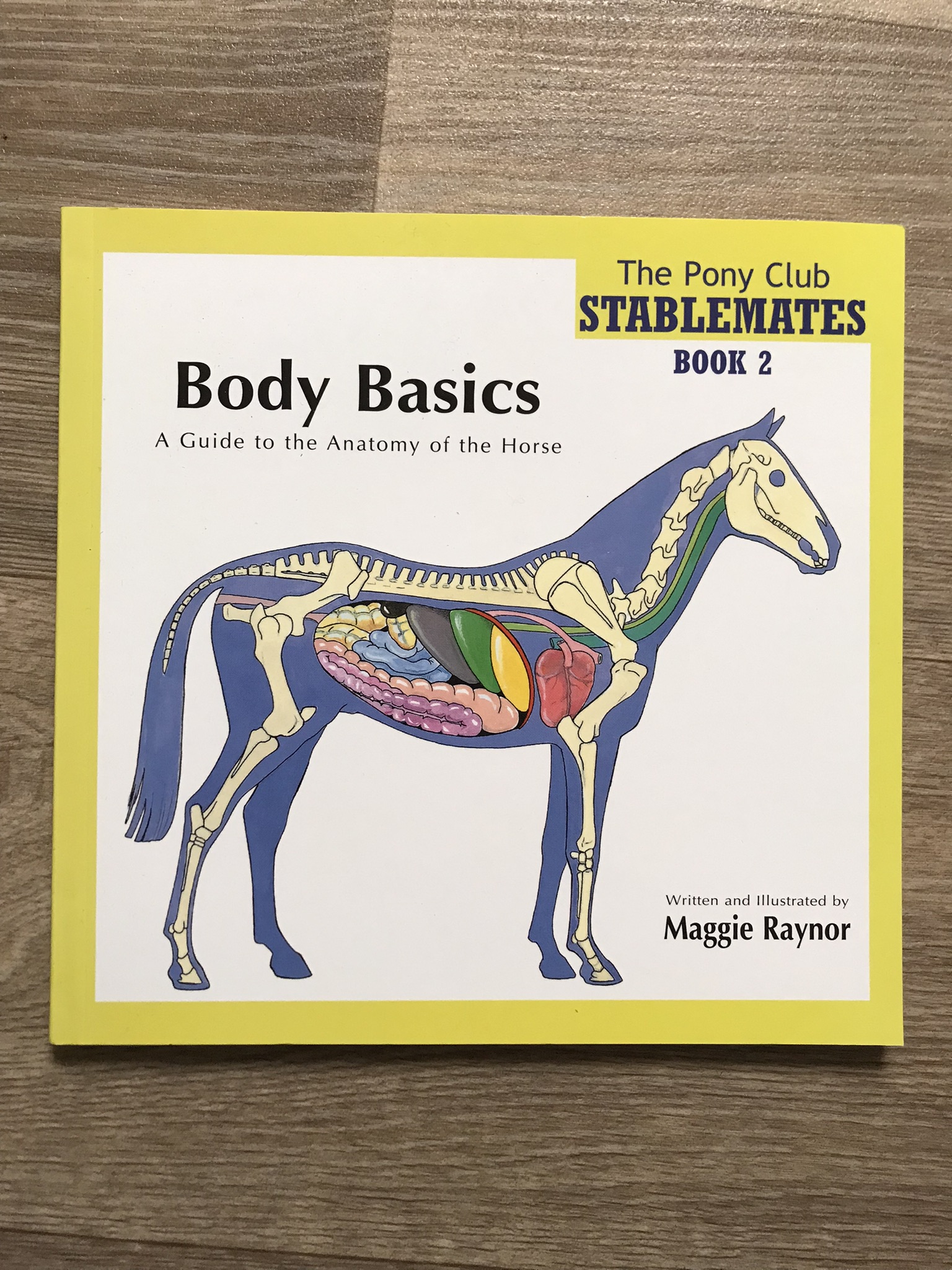 Body Basics. Pony club stablemates book. BN
