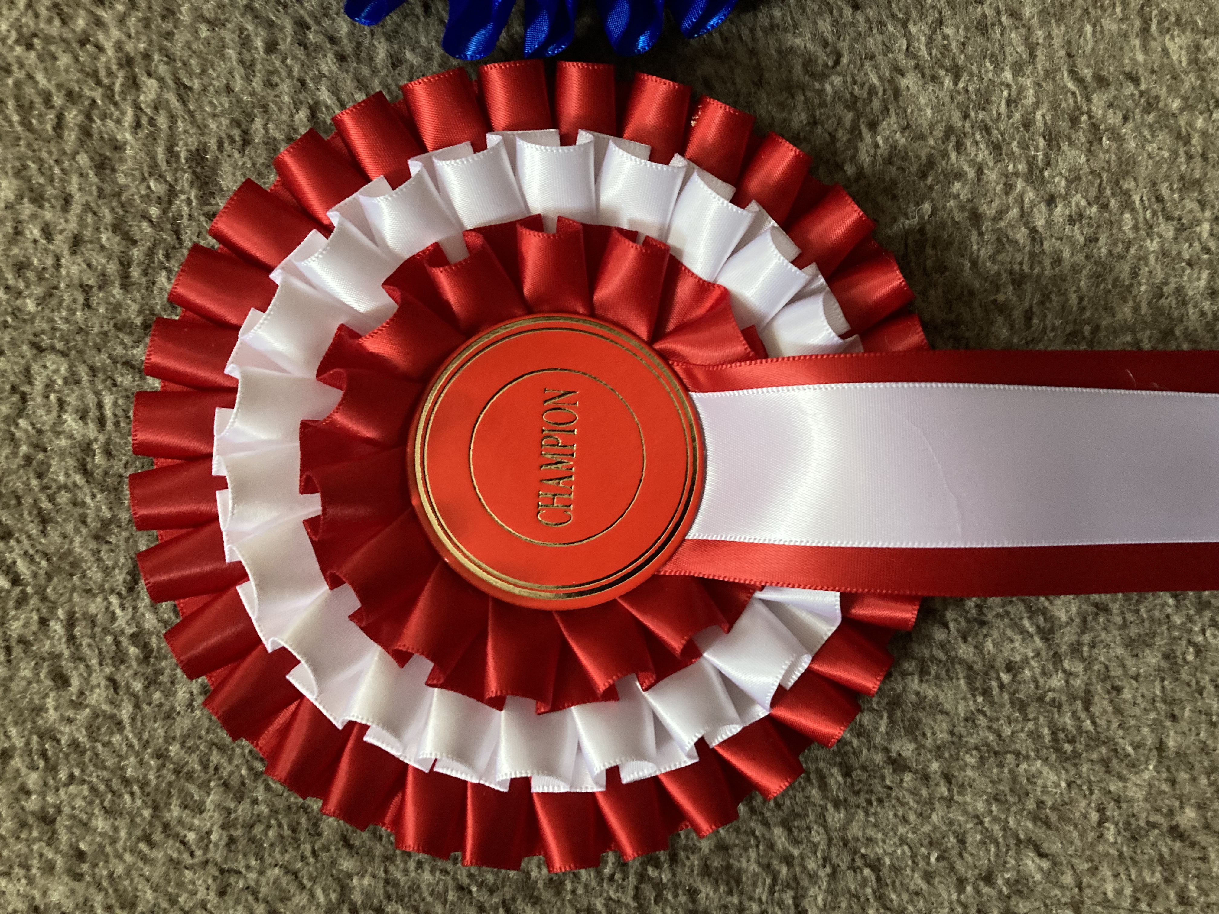Champion and Reserve Champion Rosettes.
