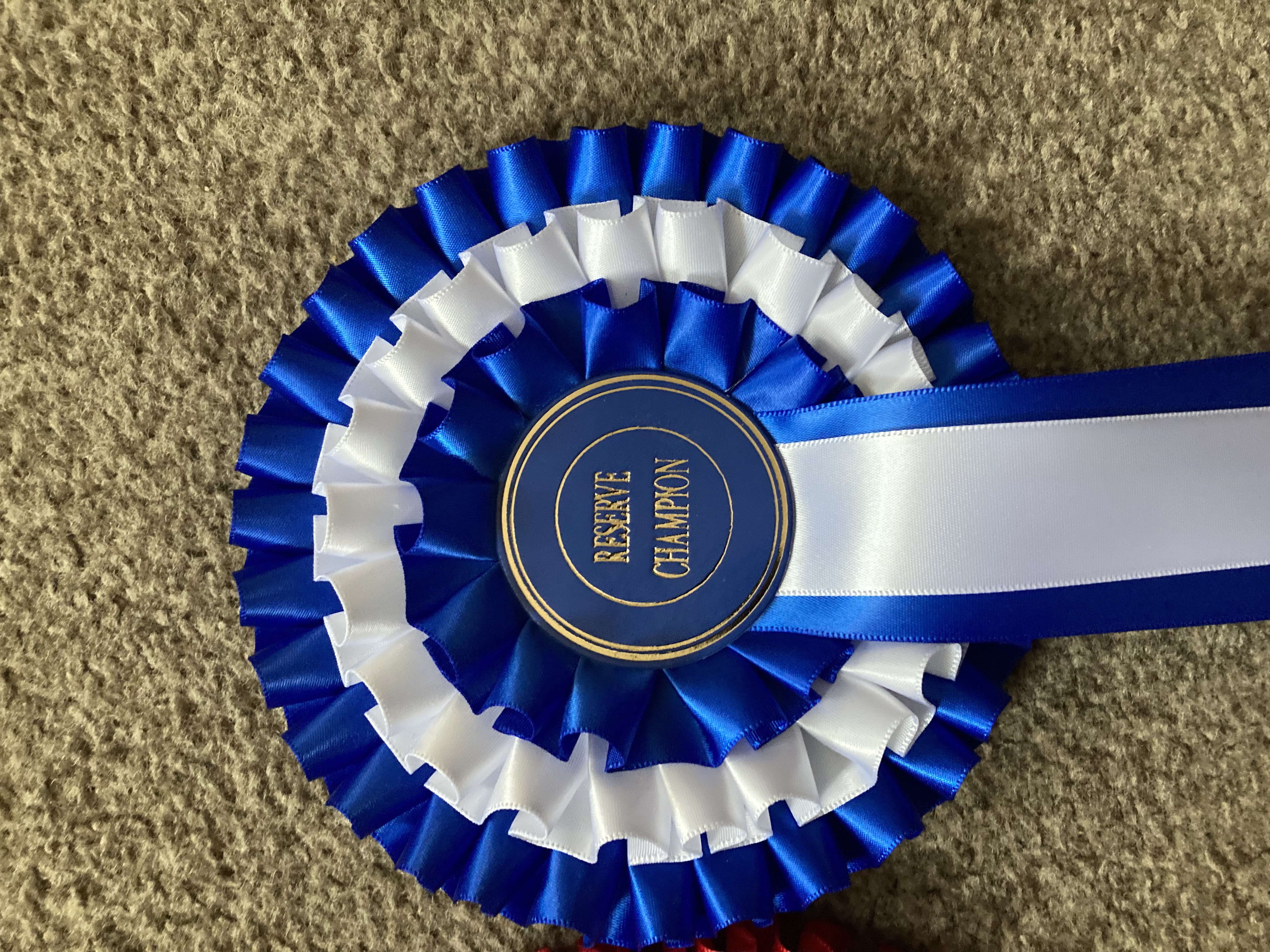 Champion and Reserve Champion Rosettes.