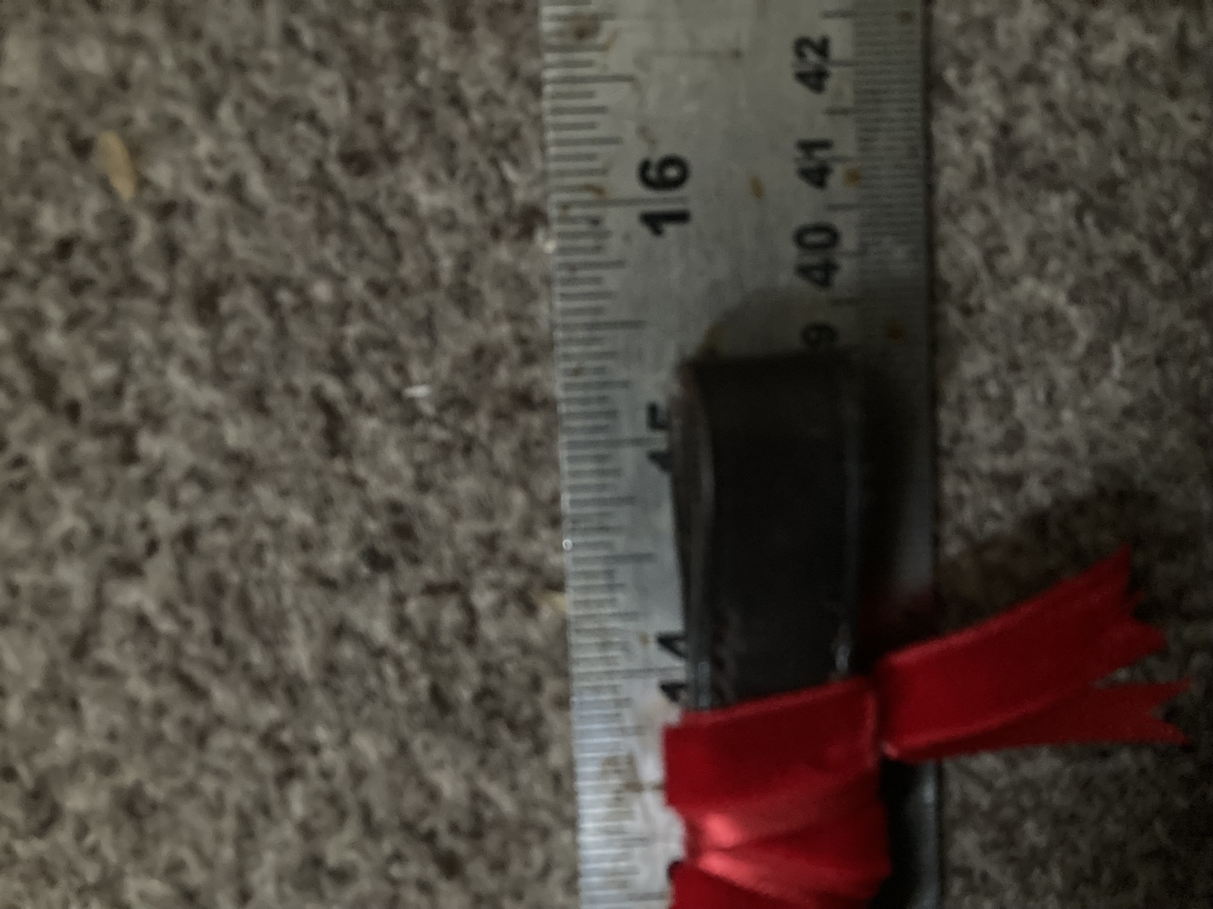 Red satin and velvet Ribbon Browbands. Brown 15” leather. Cob size. BN