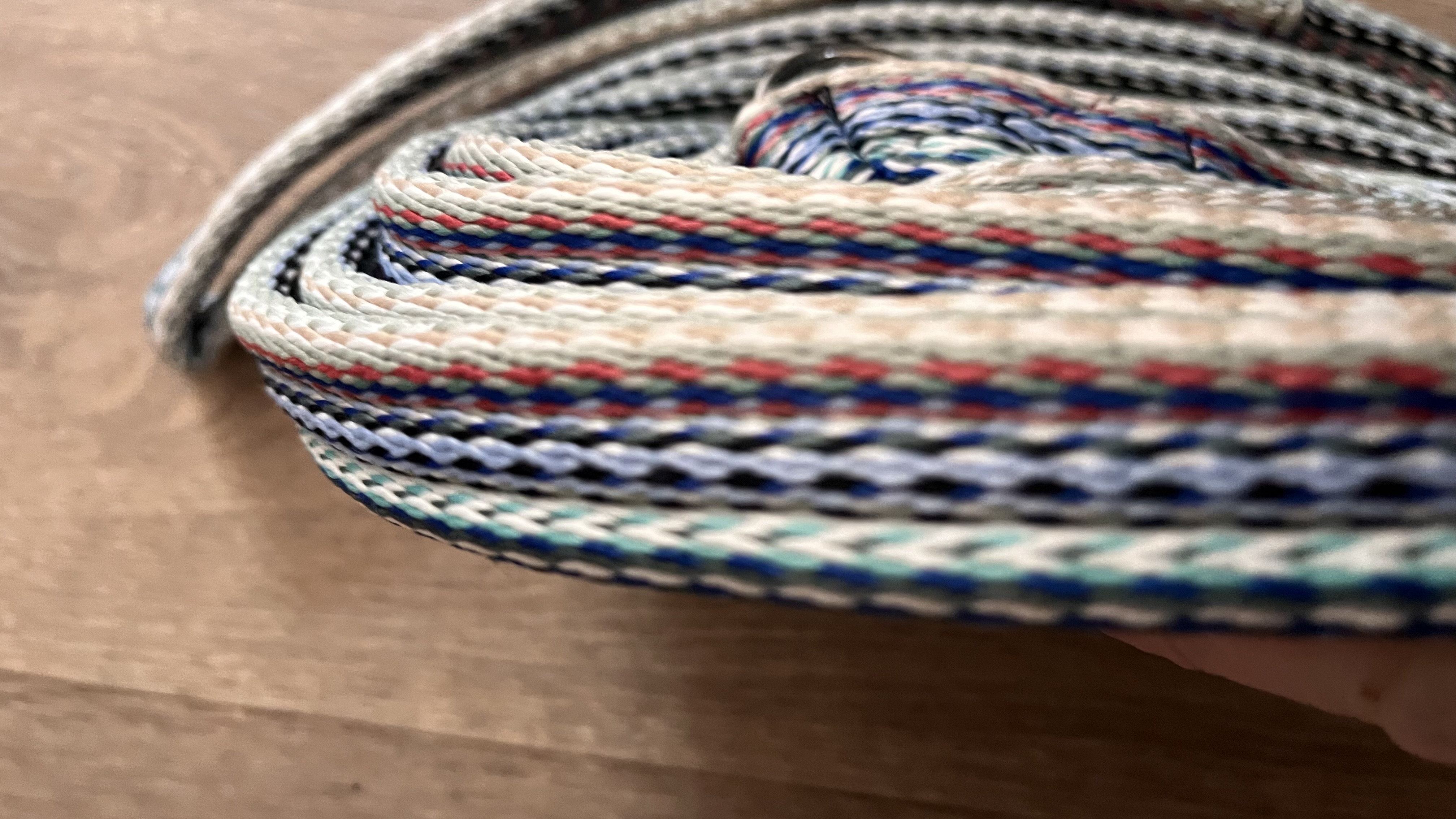 *m Cushion web lunge line with trigger clip.. Various colours