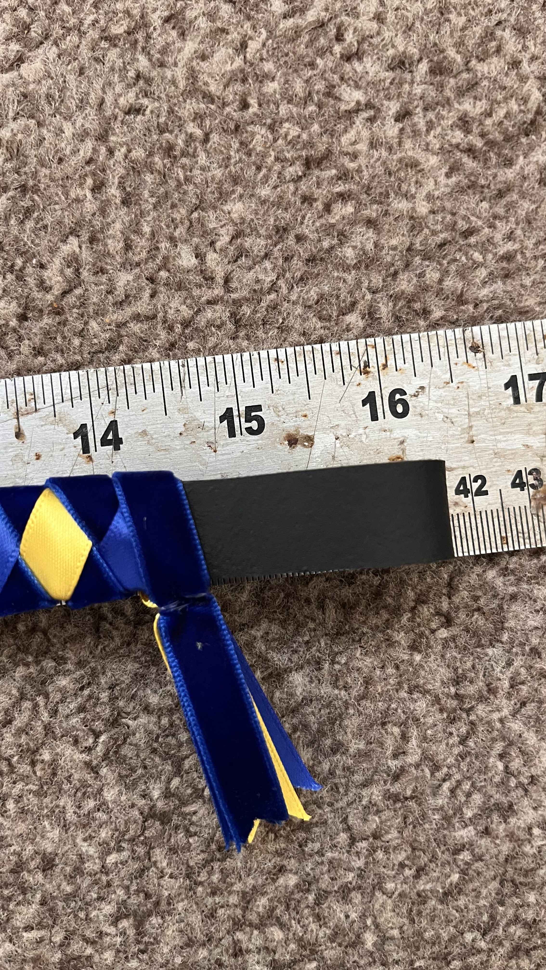 Royal Blue and Lemon Velvet and Satin Ribbon Browband 16” Black Leather.