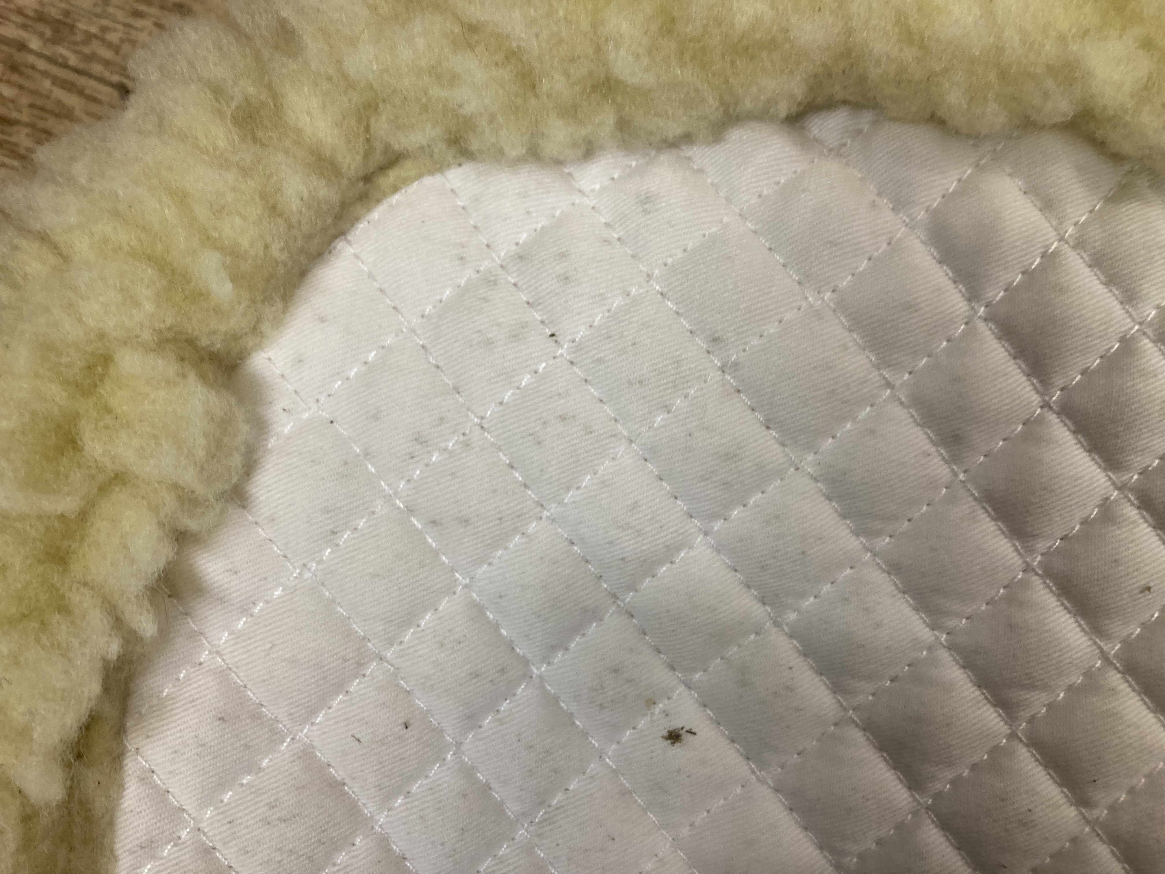 White faux sheepskin half pad. Shop soiled. 20.5” along spine
