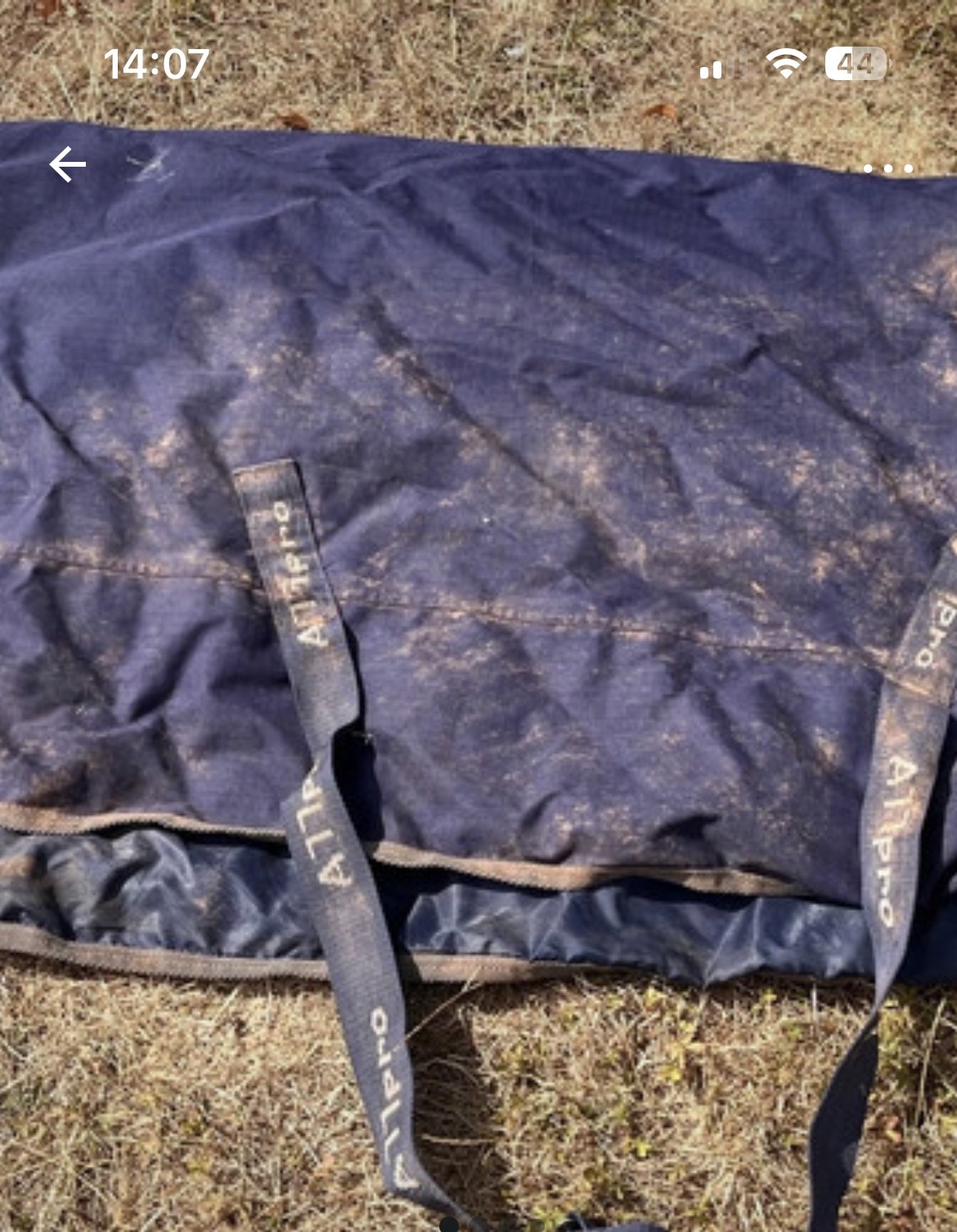Loveson all pro 5ft 6in light/mediumweight turnout. Used.