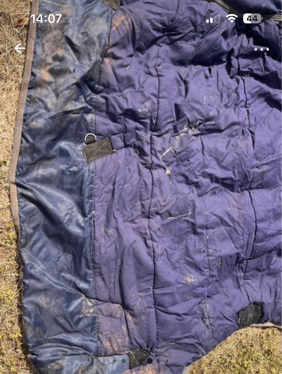 Loveson all pro 5ft 6in light/mediumweight turnout. Used.
