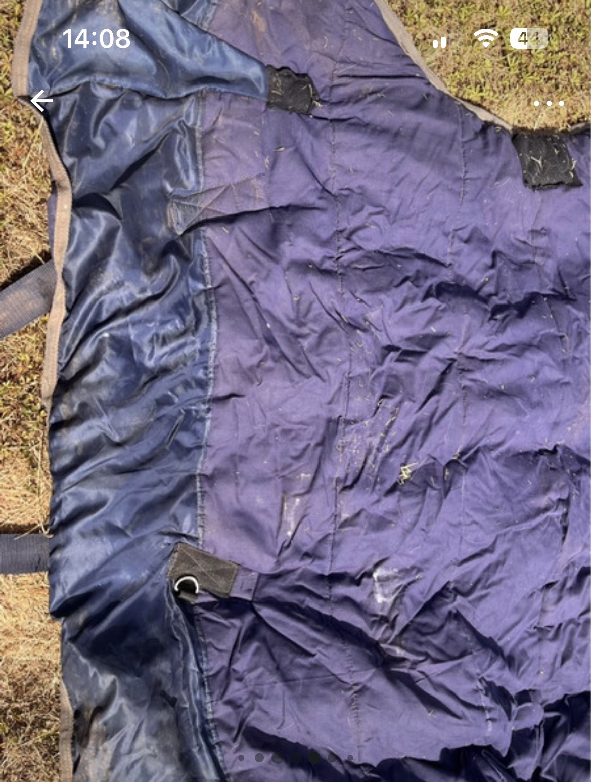 Loveson all pro 5ft 6in light/mediumweight turnout. Used.