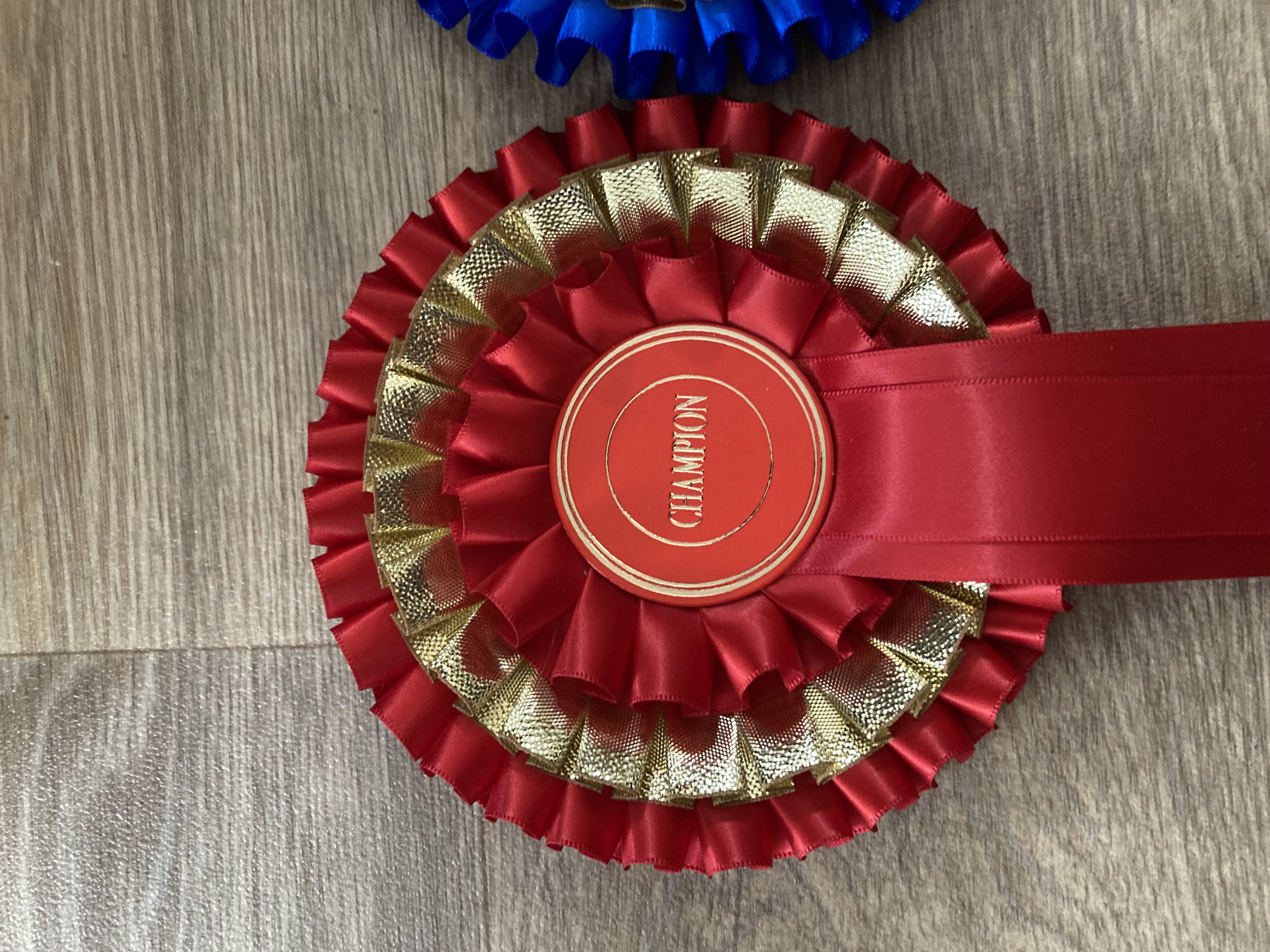 3 tier Champion  and Reserve Champion Rosettes.