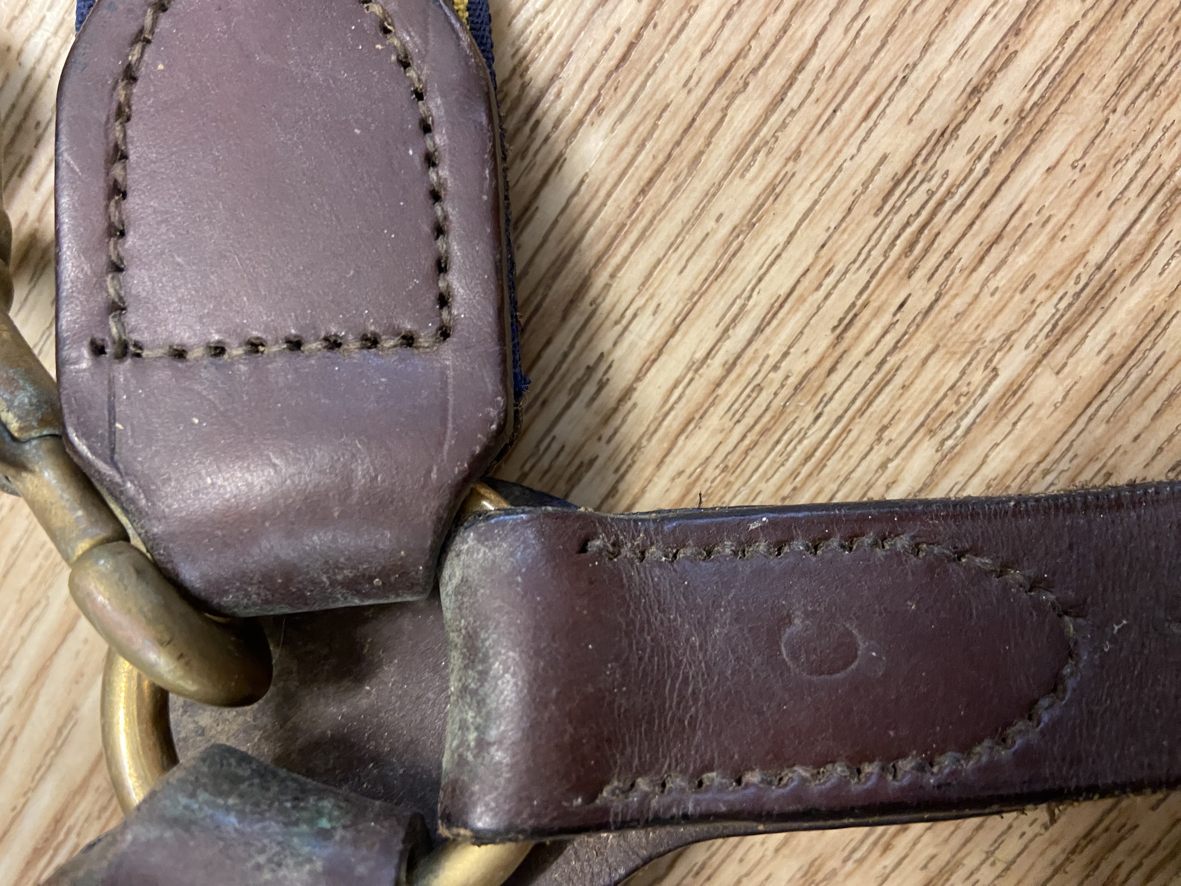 Three point elasticated breastplate with martingale attachment. Cob size. Preowned