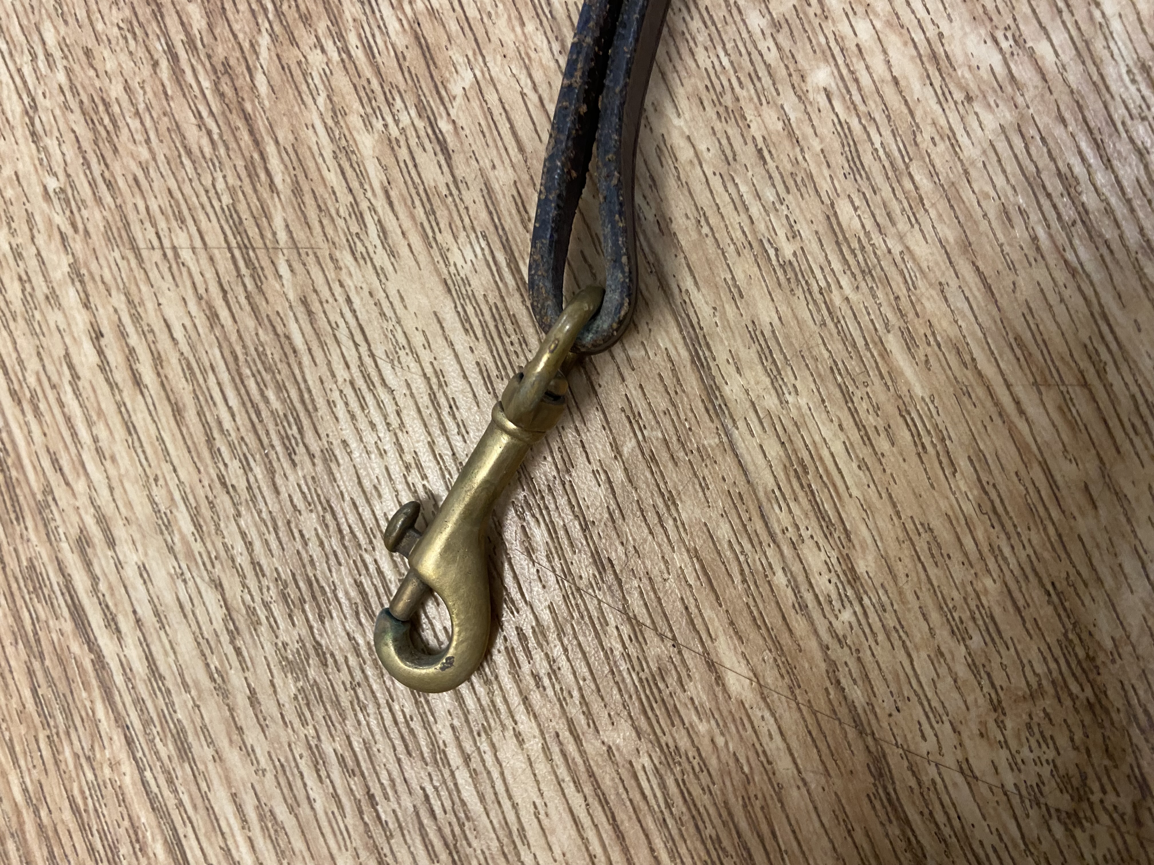 Three point elasticated breastplate with martingale attachment. Cob size. Preowned