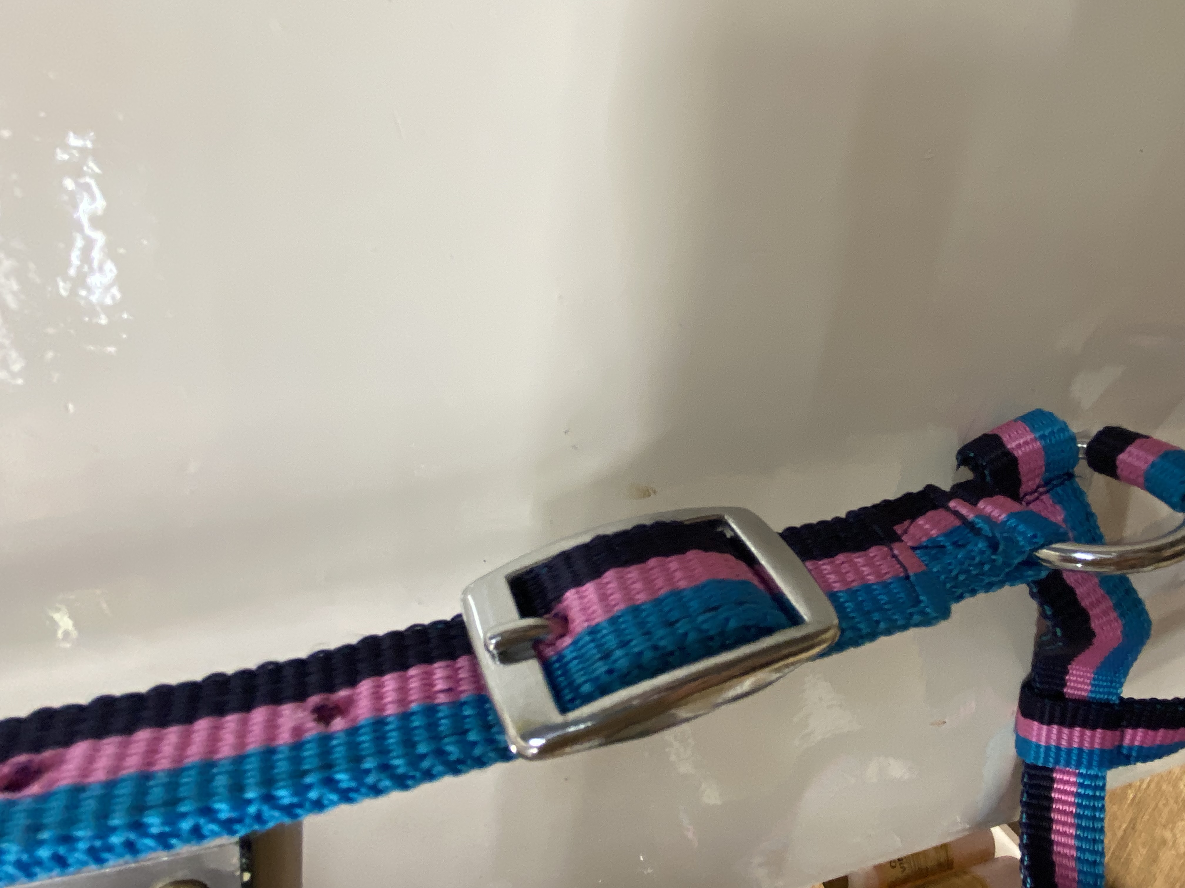 Hkm funny horses shetland size headcollar. BNWT.