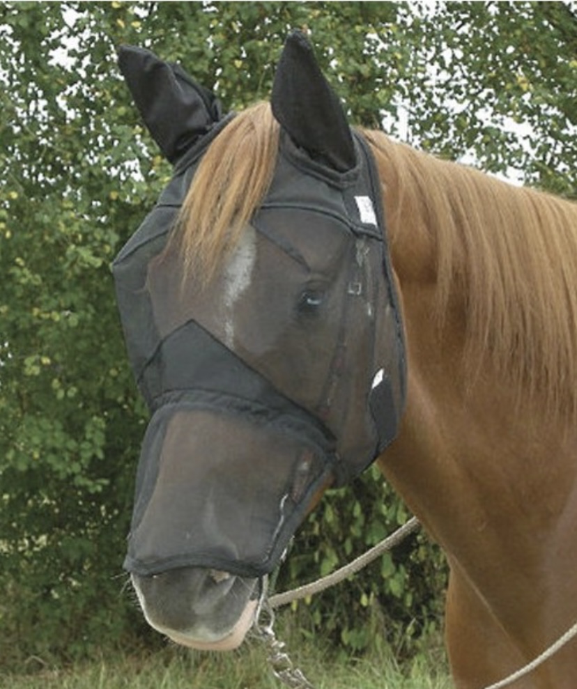 Sheldon Fly mask with forelock hole and detachable nose. Pony/Cob/Full