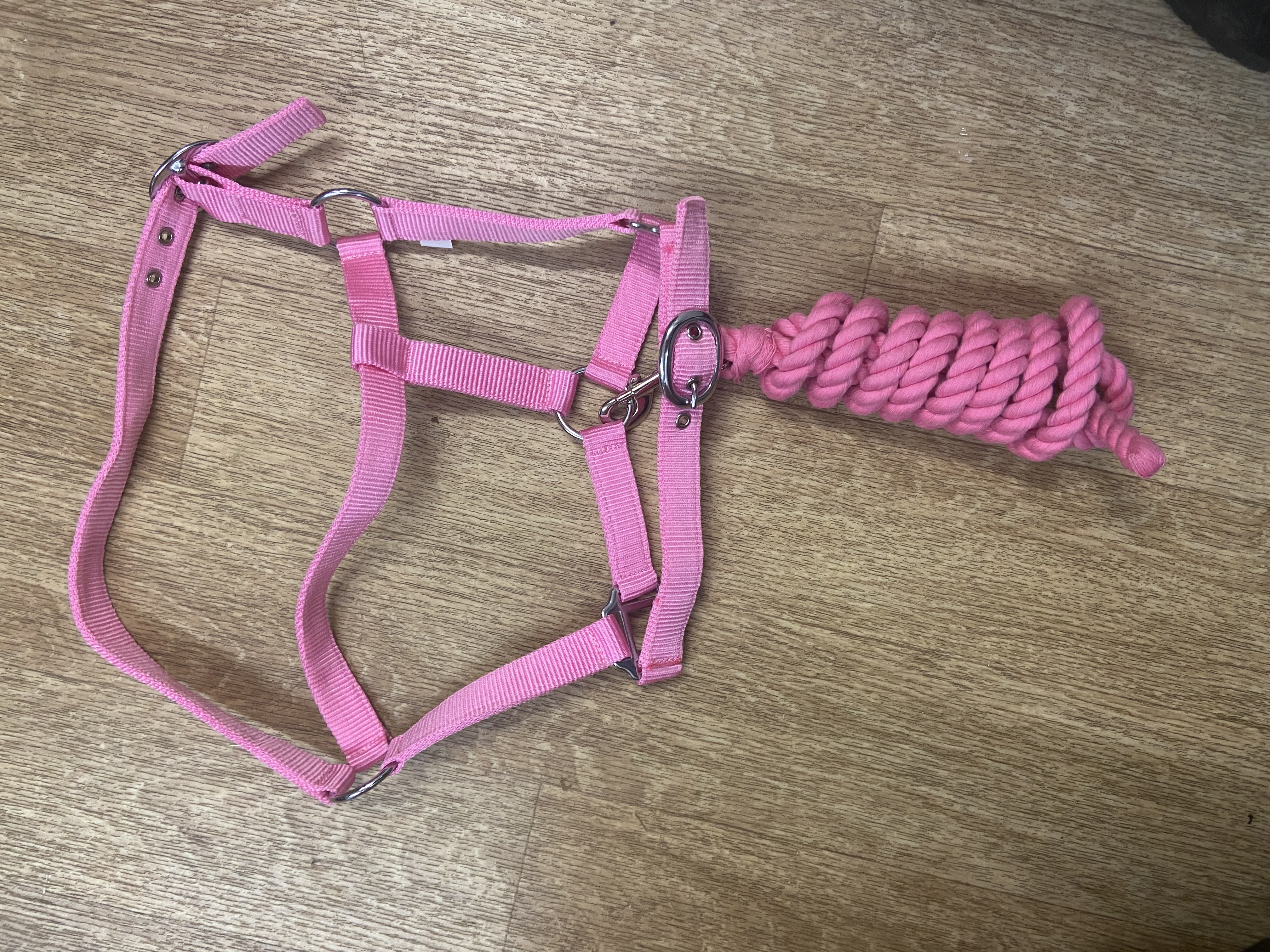 Rose Pink pony headcollar and leadrope. BN