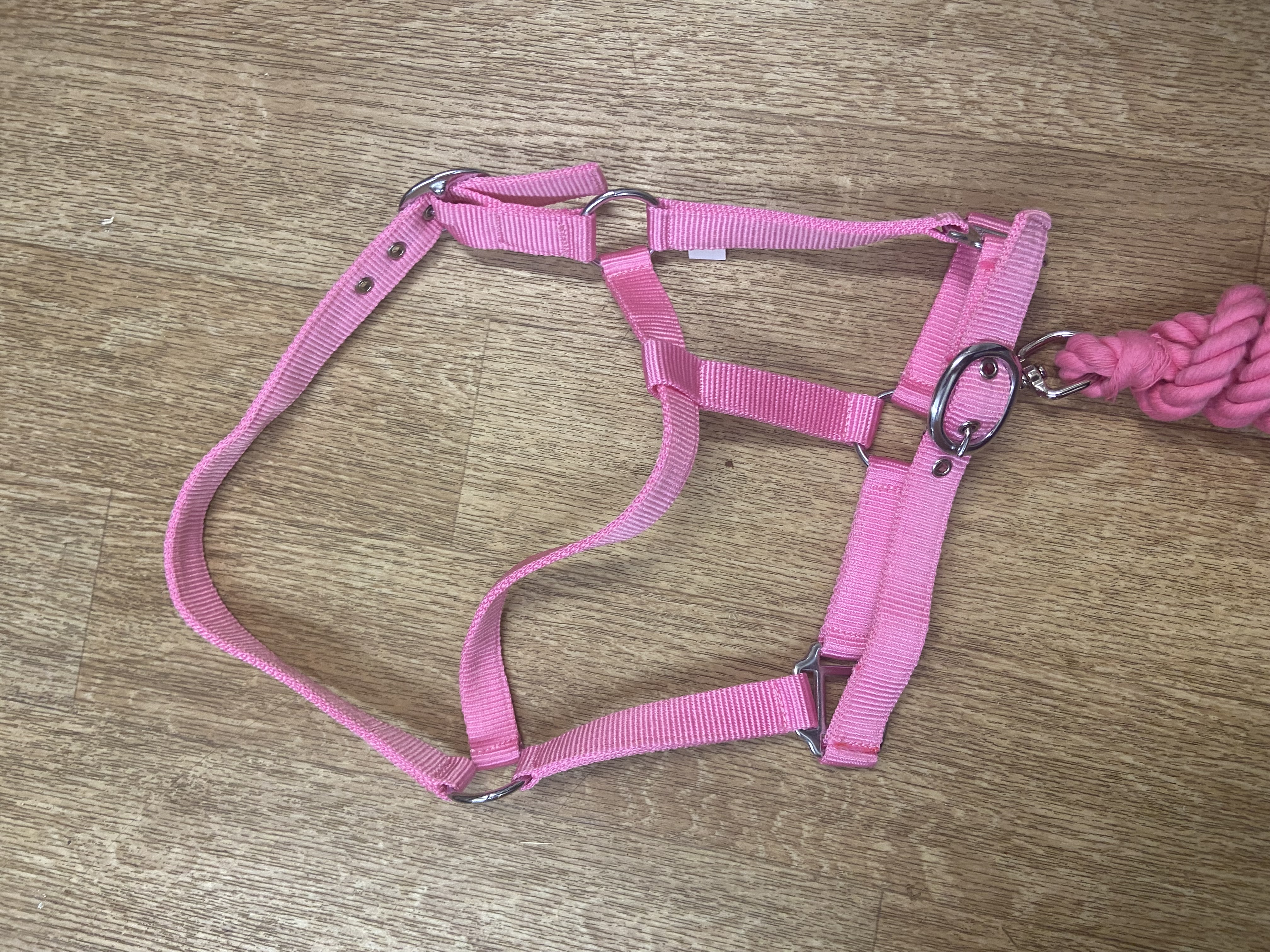 Rose Pink pony headcollar and leadrope. BN