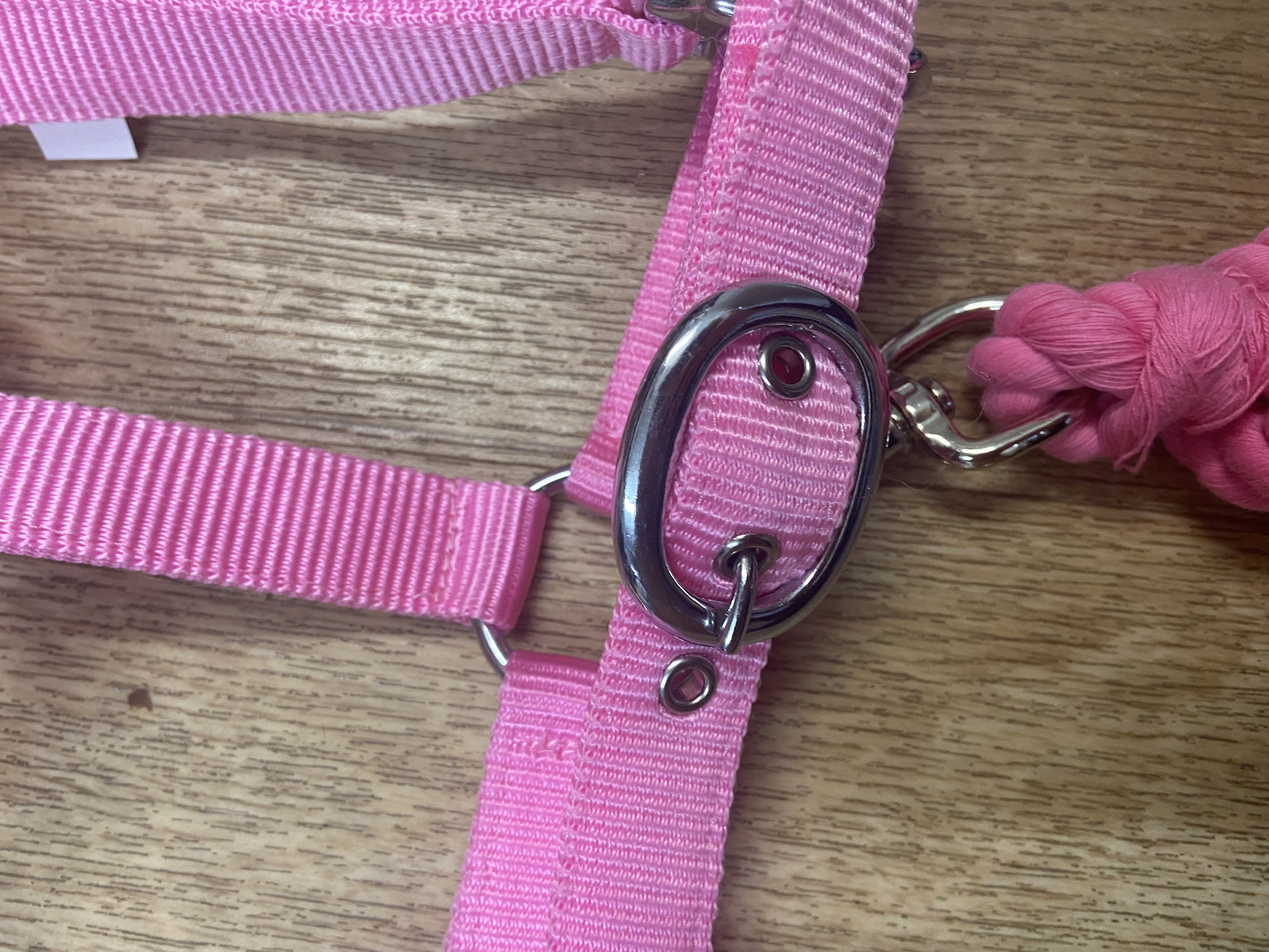 Rose Pink pony headcollar and leadrope. BN