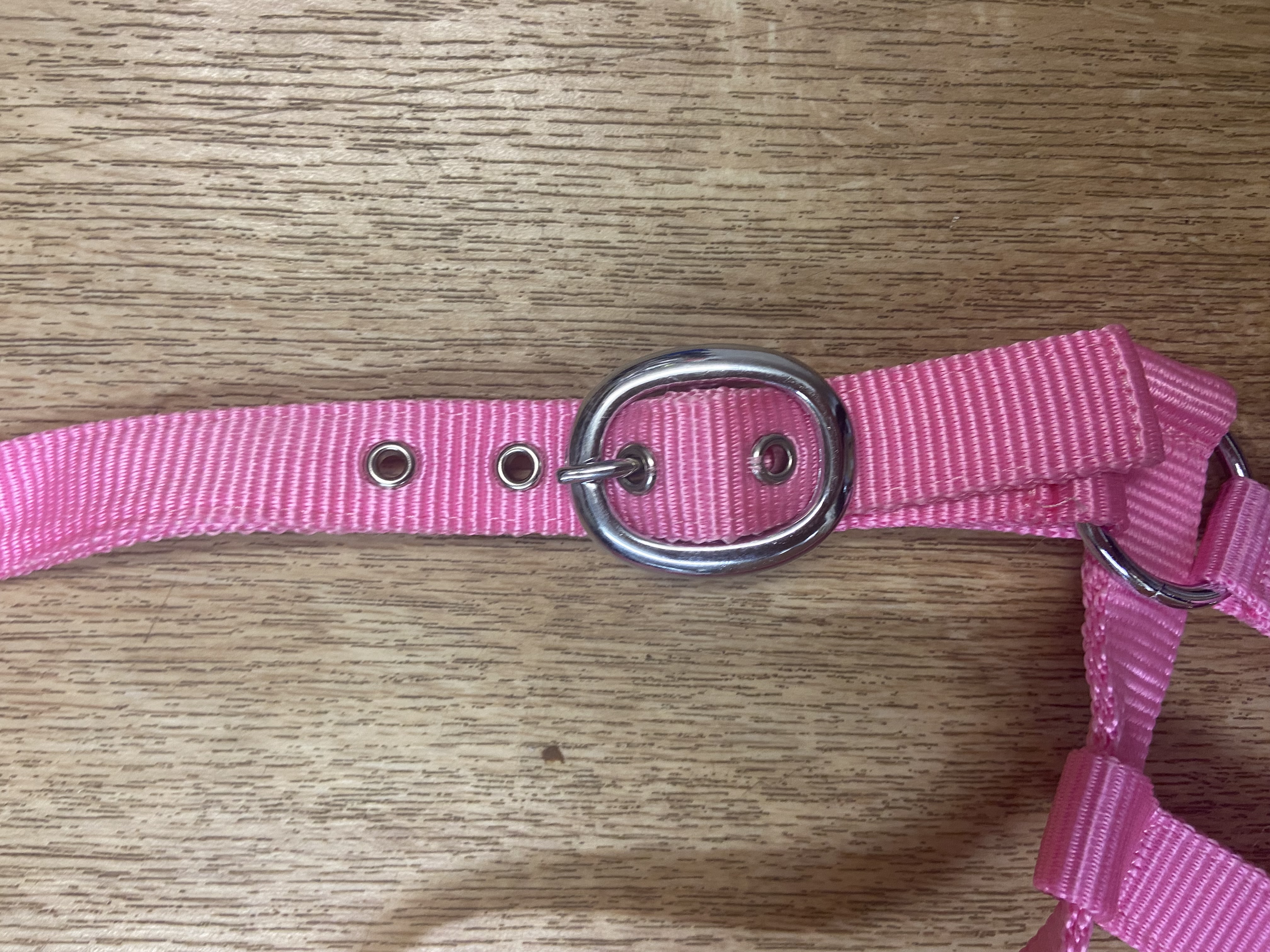 Rose Pink pony headcollar and leadrope. BN