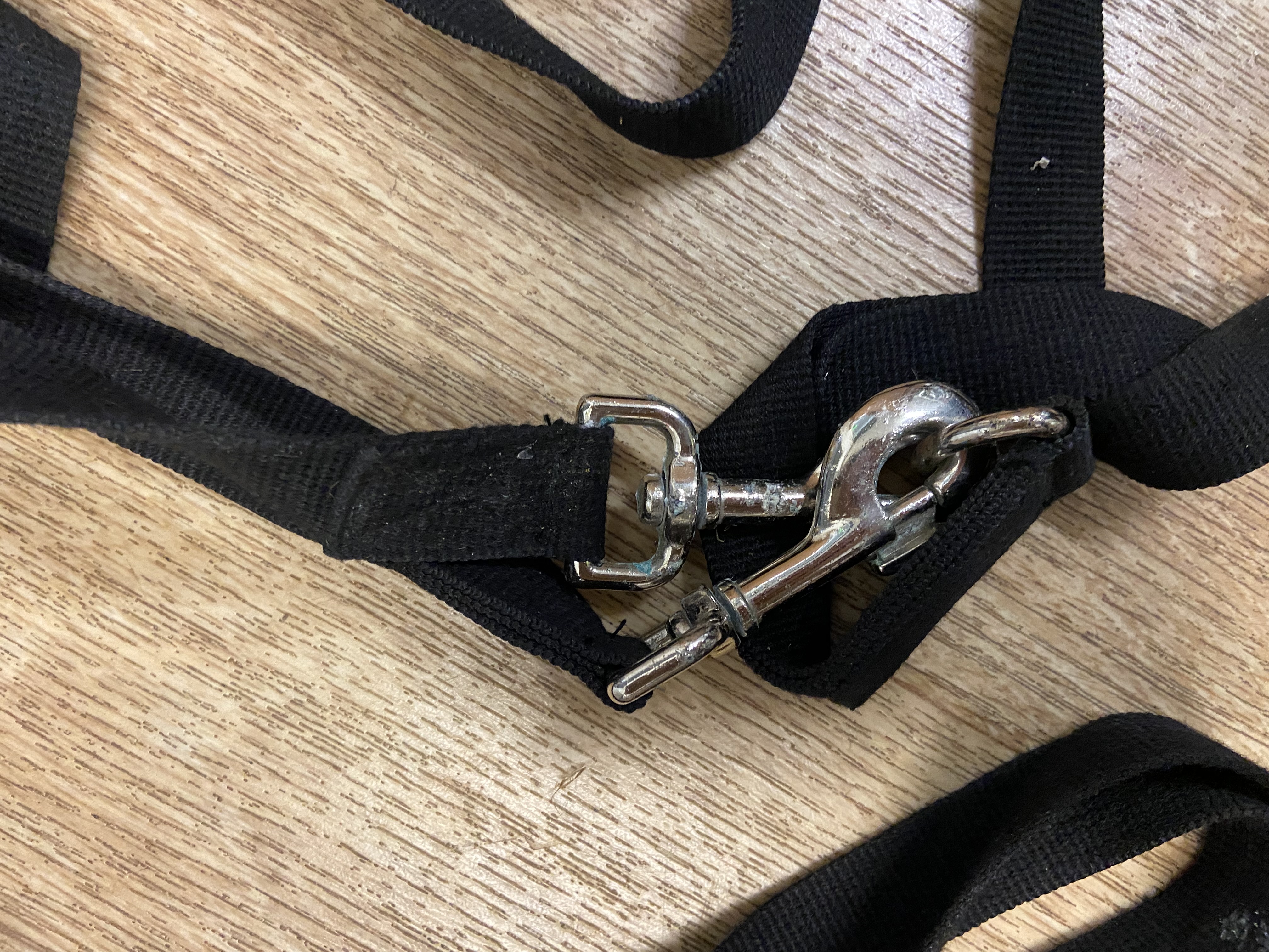 Black draw reins. One size preowned.