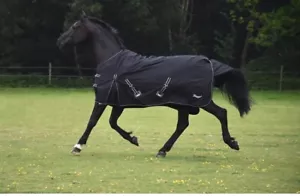 Rhinegold Torrent Turnout rug, No Fill,  lightweight outdoor horse rug. Black BNWT