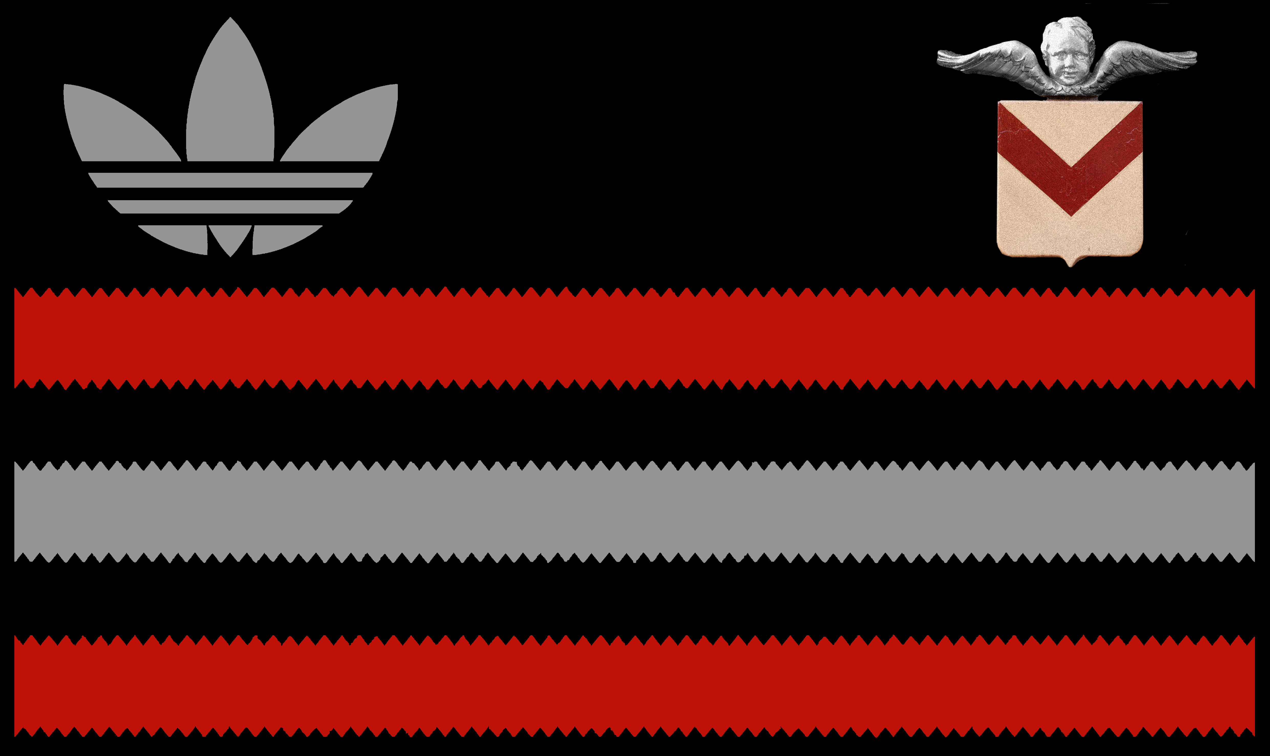 3 STRIPES SECOND COMING