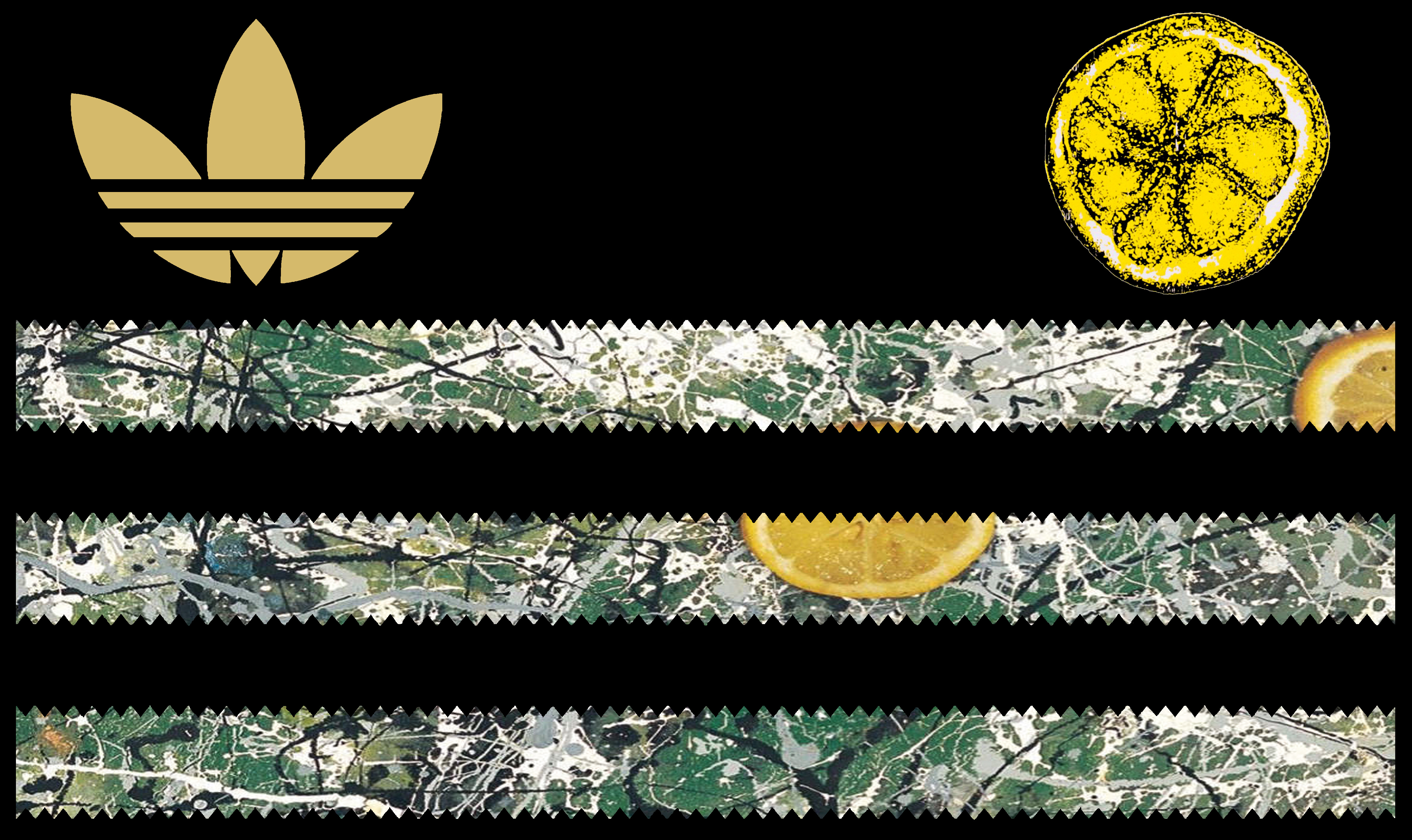 3 STRIPES STONE ROSES