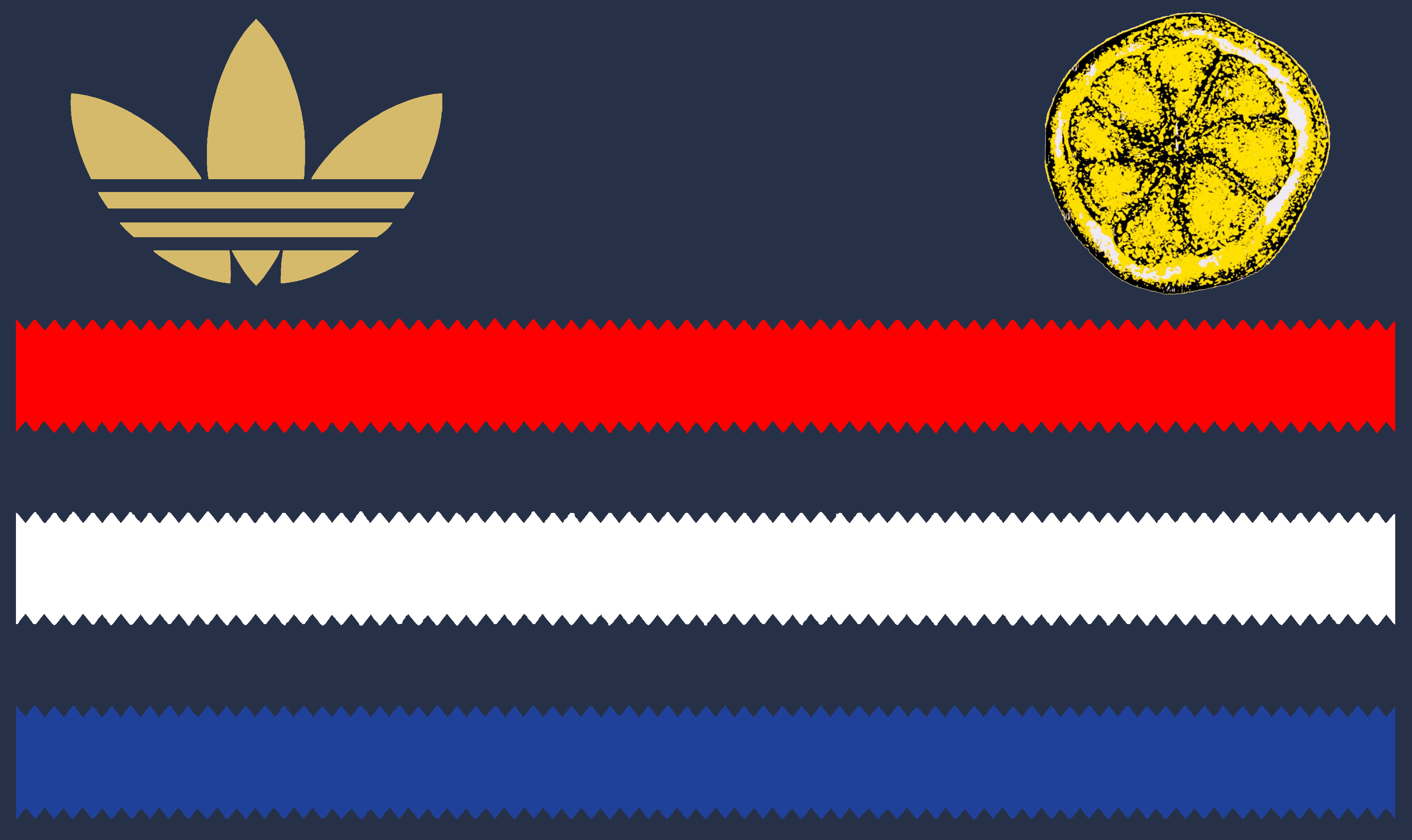 3 STRIPES TRICOLOR