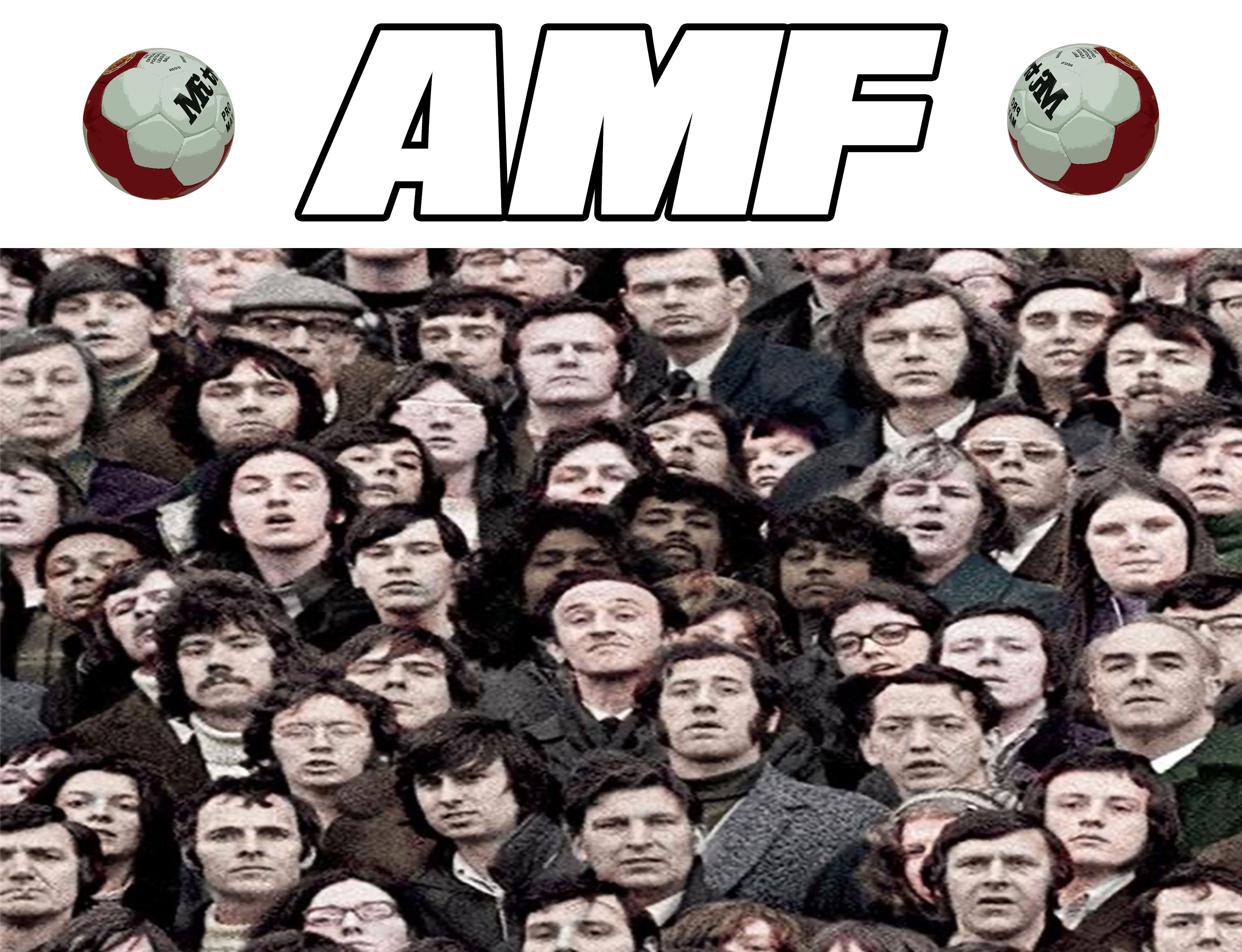 AMF CROWD