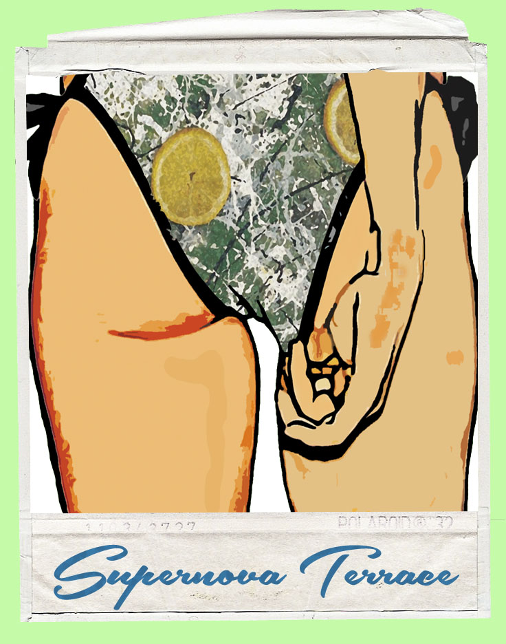 BIKINI ALBUM POLAROID