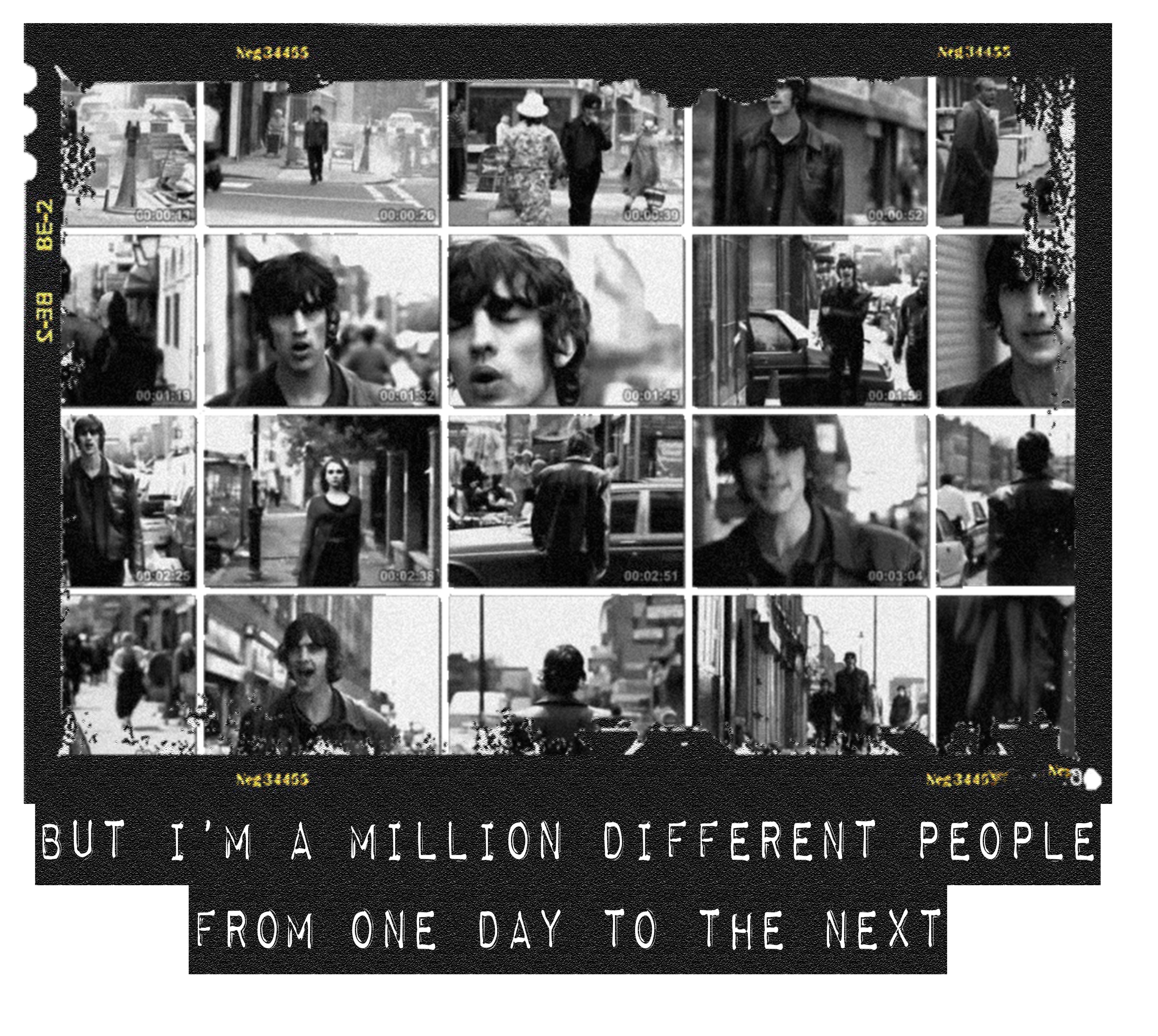 BITTERSWEET FILM NEGATIVE