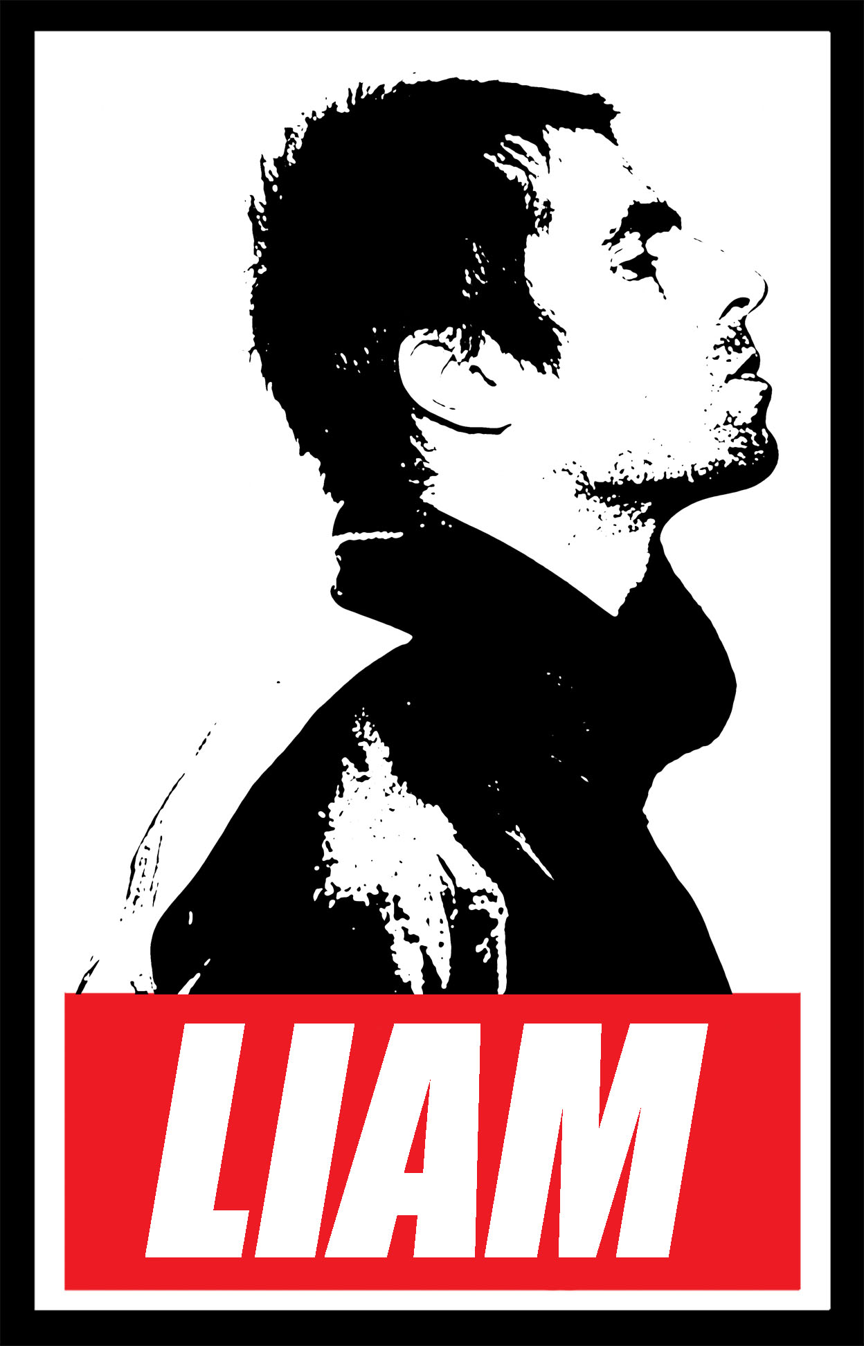 OBEY LIAM