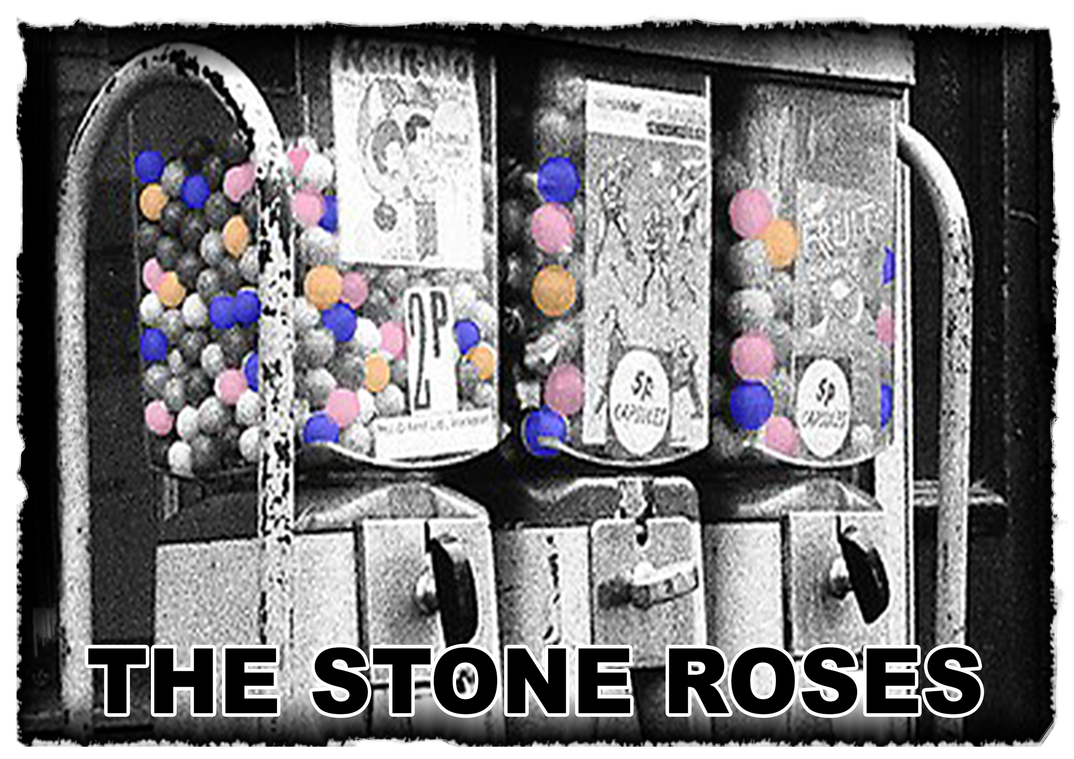 SALLY CINNAMON COVER