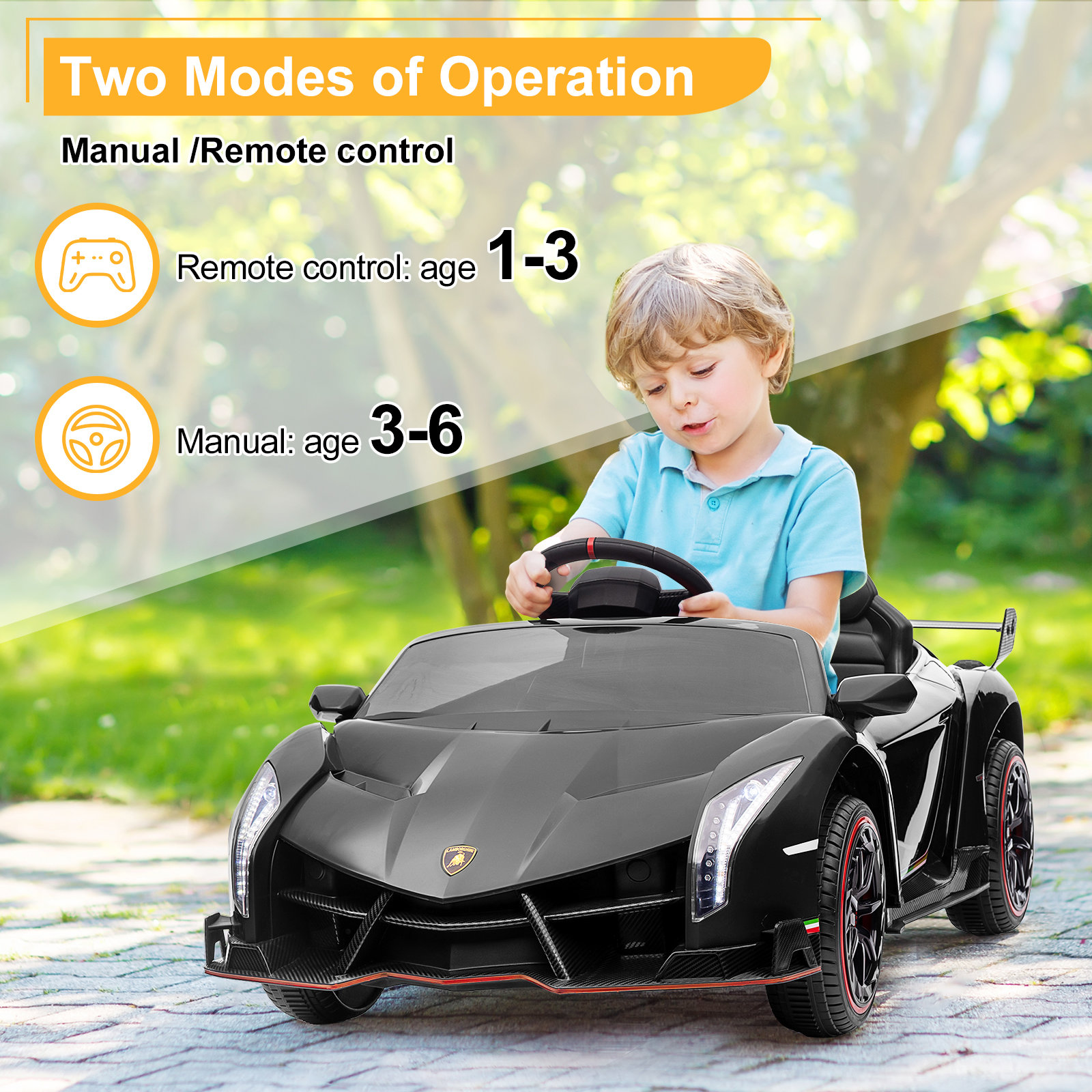 LEADZM Lamborghini Poison Small Dual Drive 12V 4.5AH with 2.4G Remote Control Sports Car Electric Ca