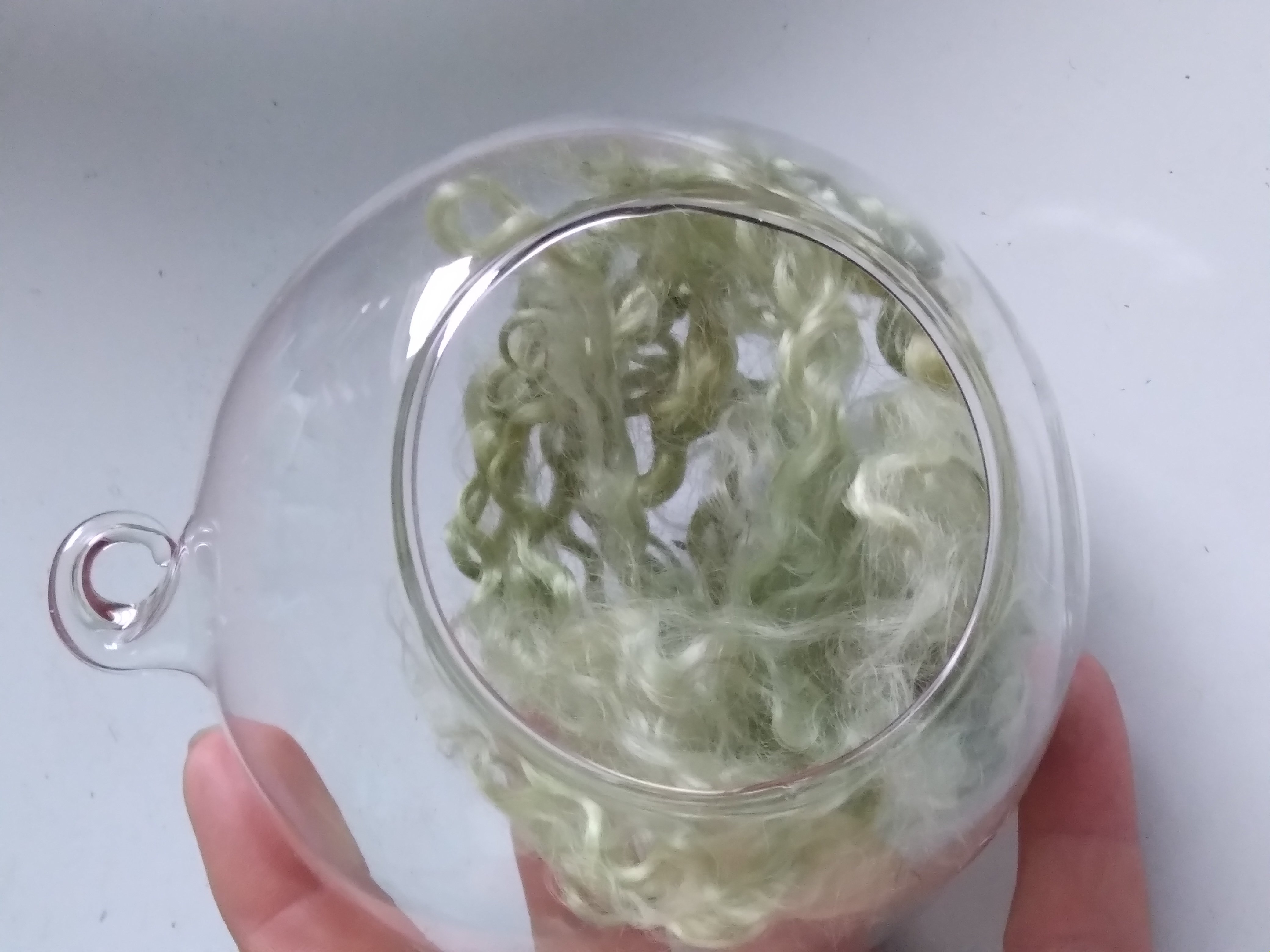 Glass Bauble Globe Terrarium