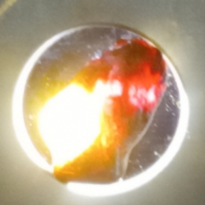 Rough honey chrysoberyl cat's eye gemstone, 4.45 carats