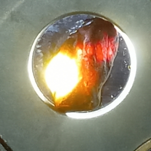Rough honey chrysoberyl cat's eye gemstone, 4.45 carats
