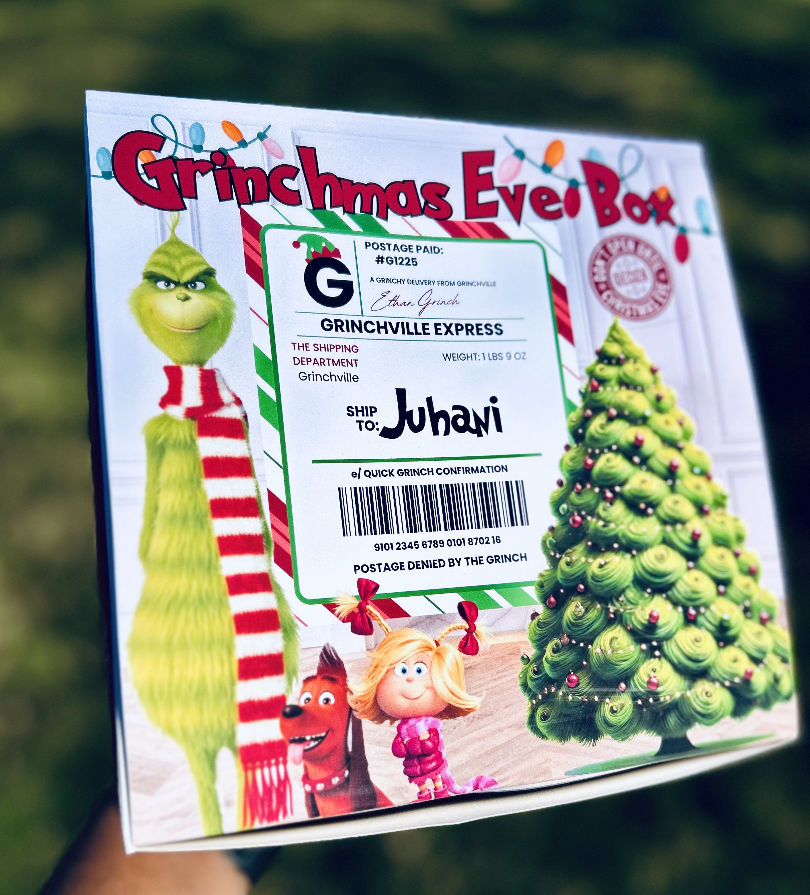 Grinchmas Eve Box (Empty)