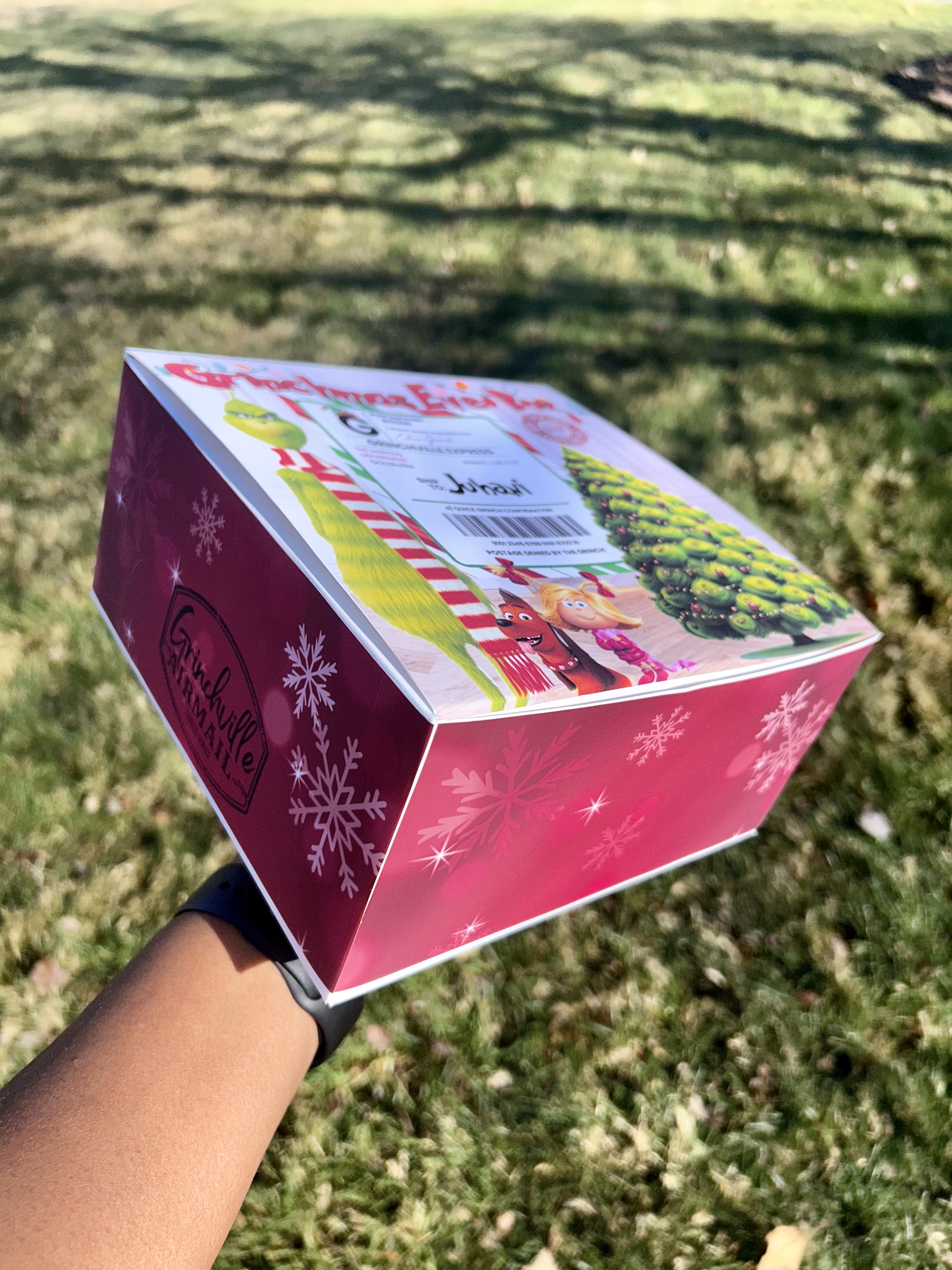 Grinchmas Eve Box (Empty)