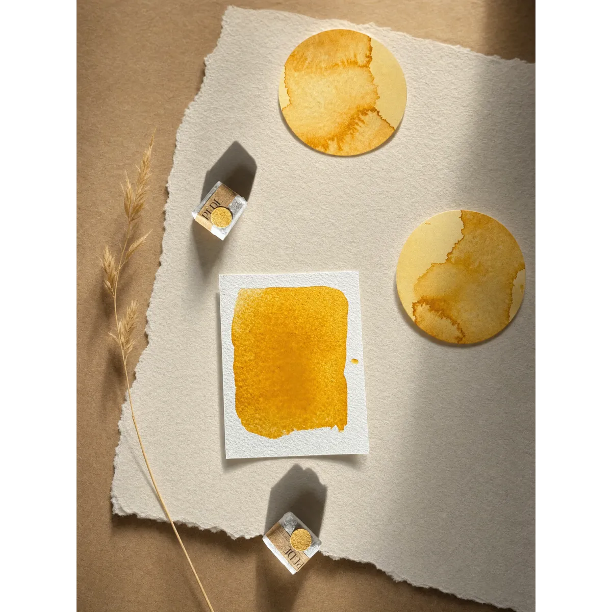 Harvest Gold – Farbe des Monats September