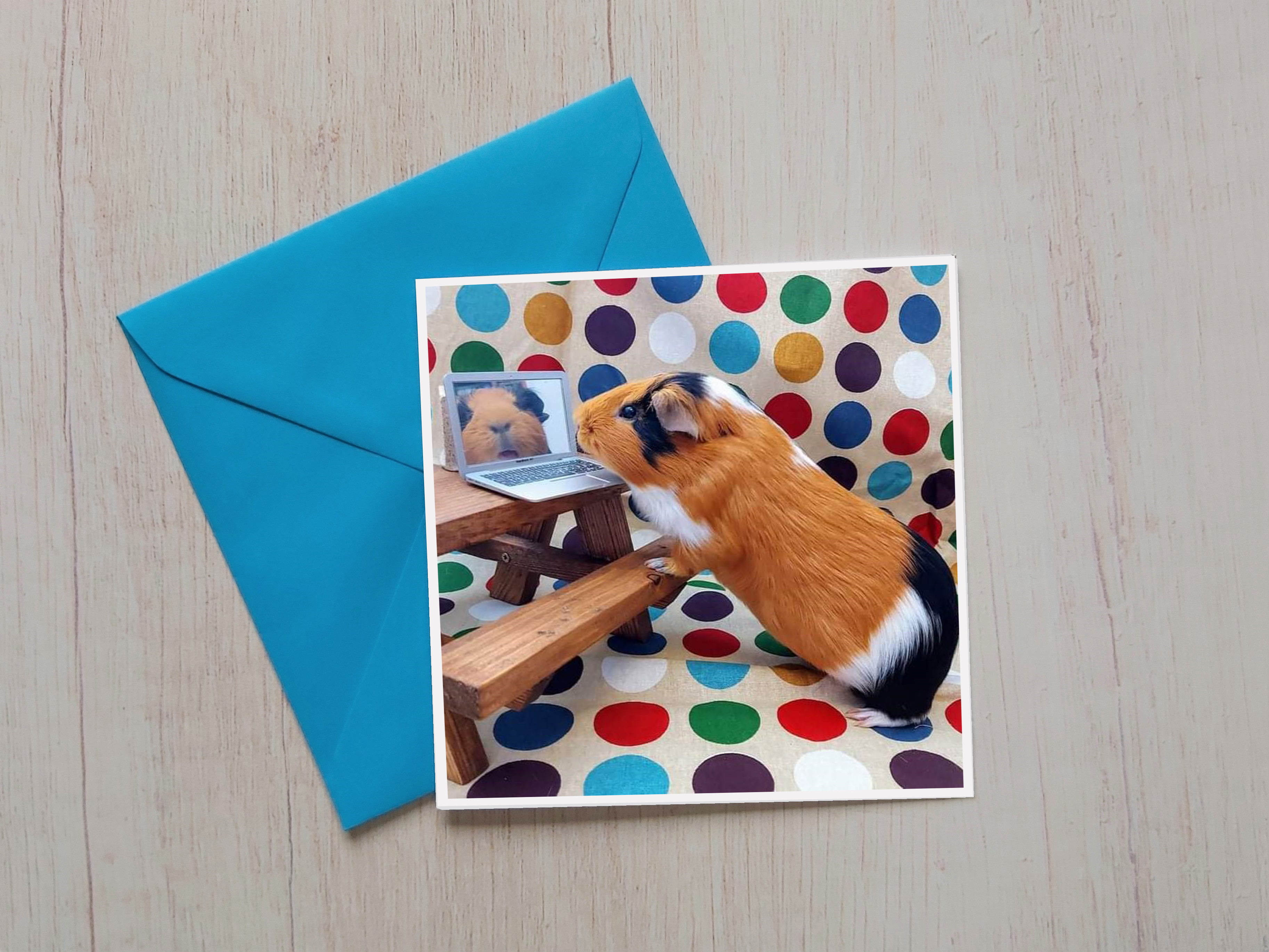 Guinea Pig Card - Flóki at desk with laptop