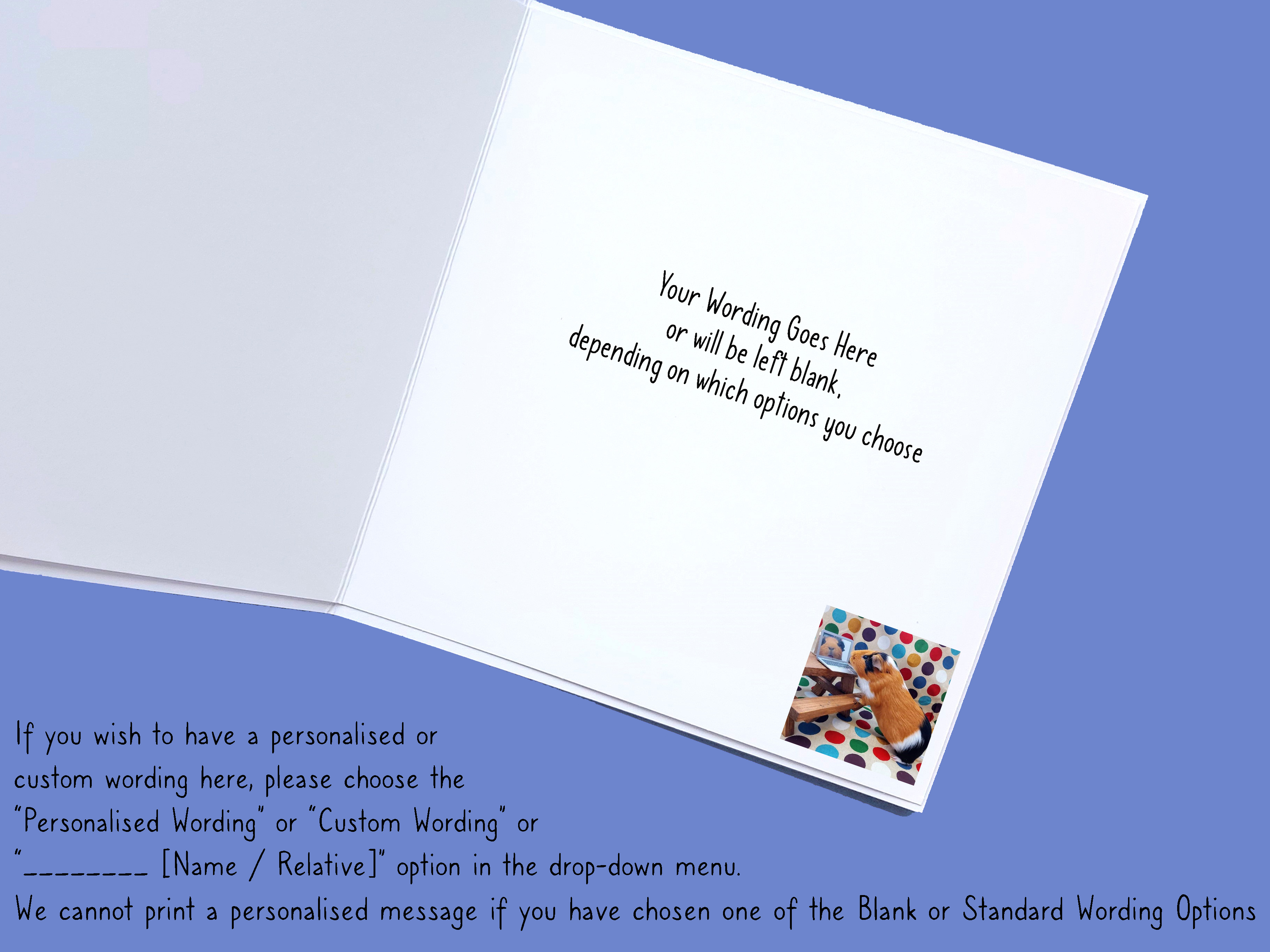 Guinea Pig Card - Flóki at desk with laptop