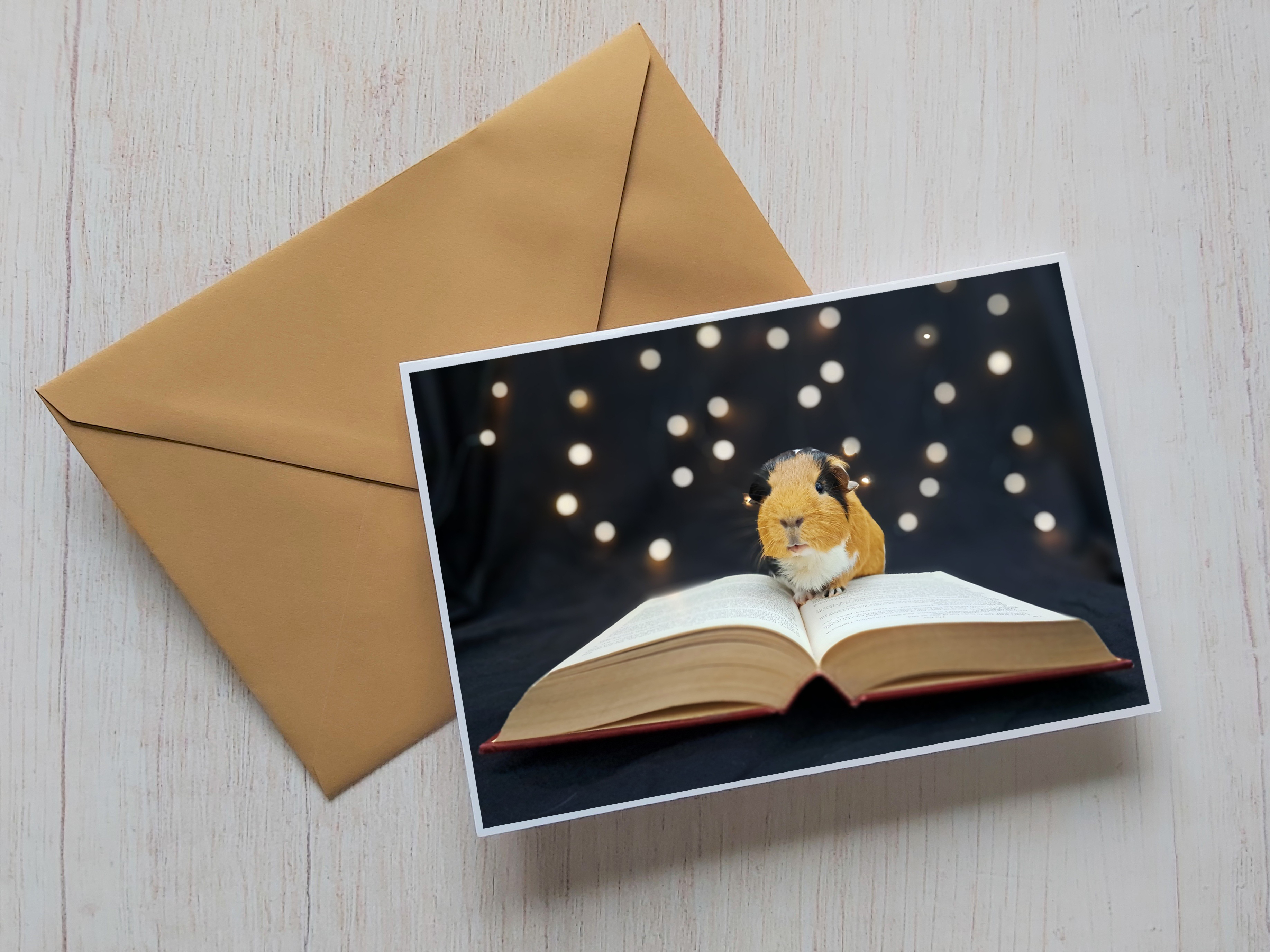 Guinea Pig Card - Flóki reading book