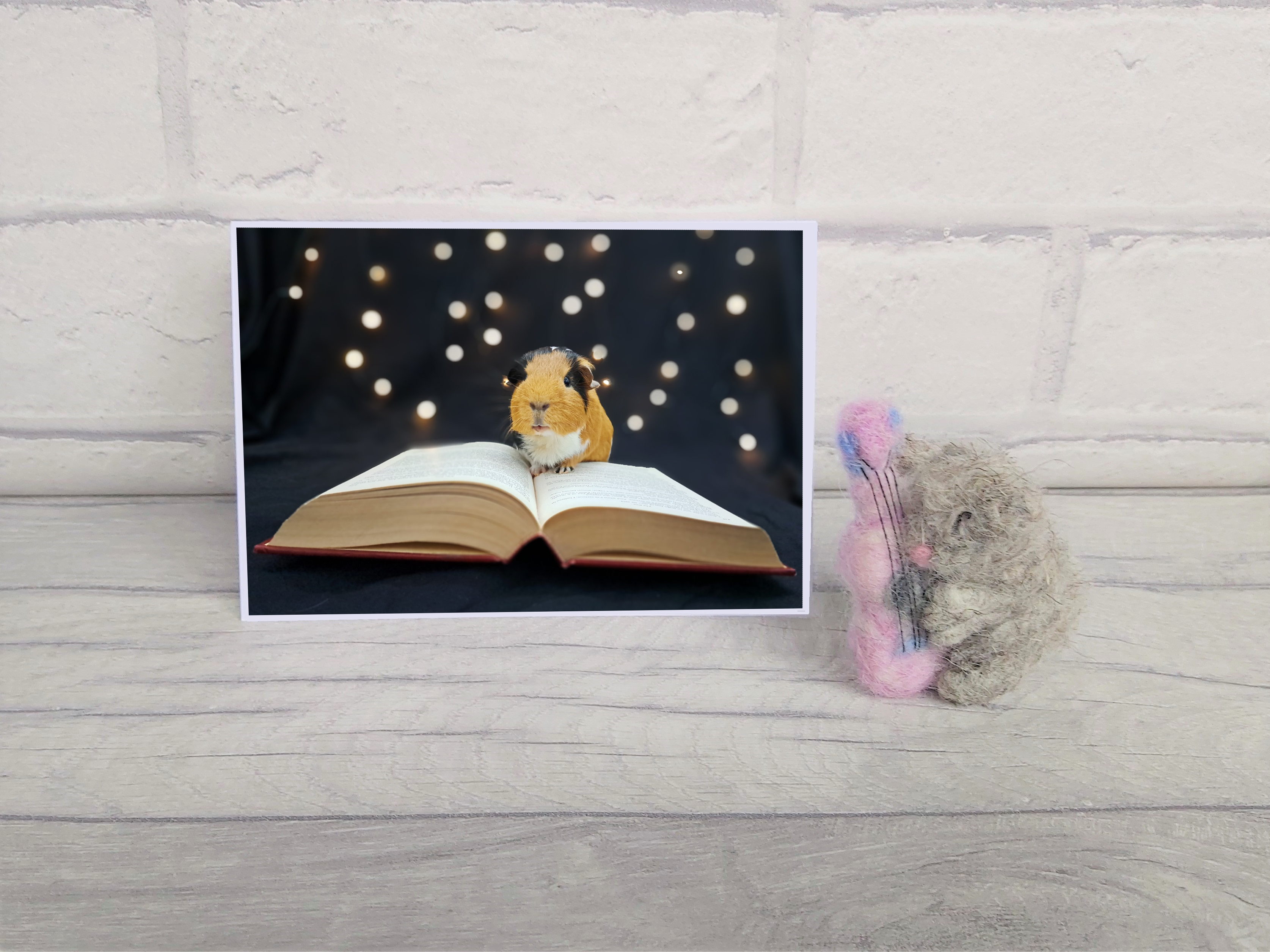 Guinea Pig Card - Flóki reading book