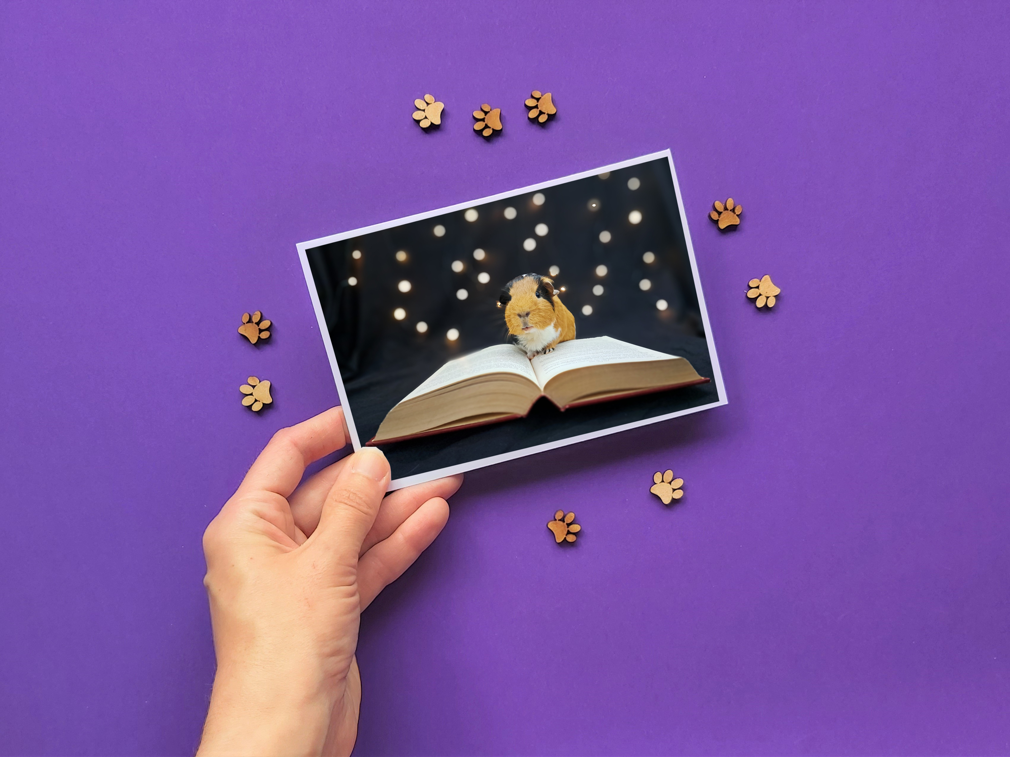 Guinea Pig Card - Flóki reading book