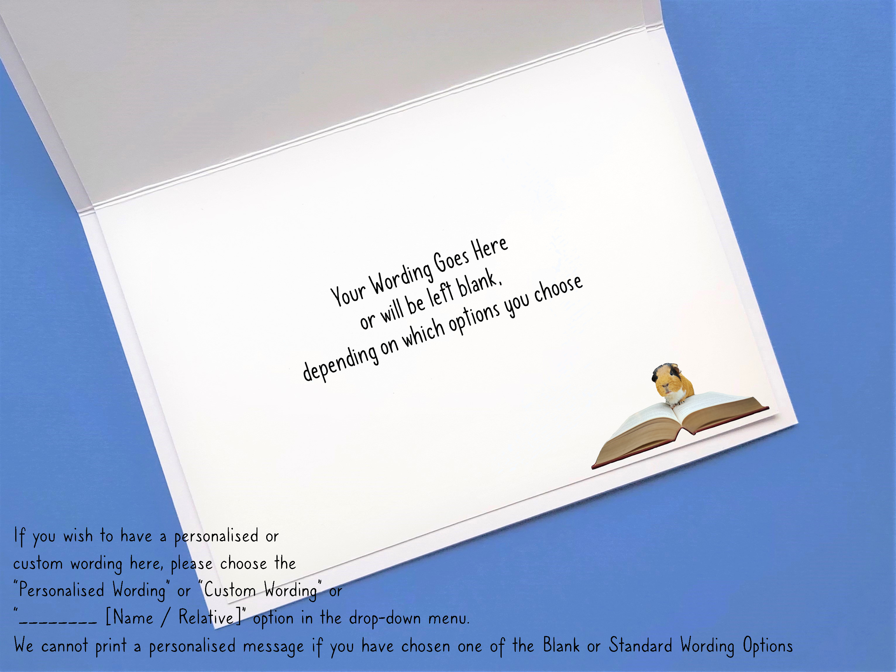 Guinea Pig Card - Flóki reading book